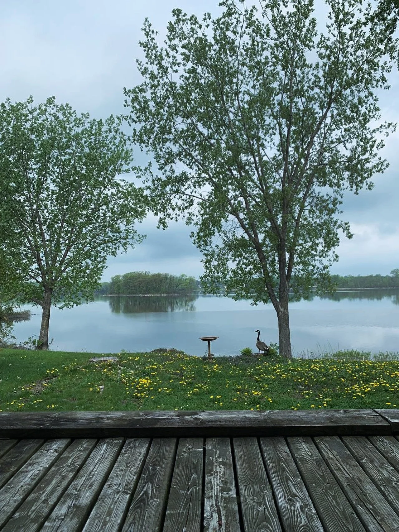 The alchemy of two matching beings

That is the only real sexual satisfaction
To be able to be cracked opened by someone
To find oneself again
To be able to merge our deepest self with someone else&rsquo;s
To be transformed, to become something else
