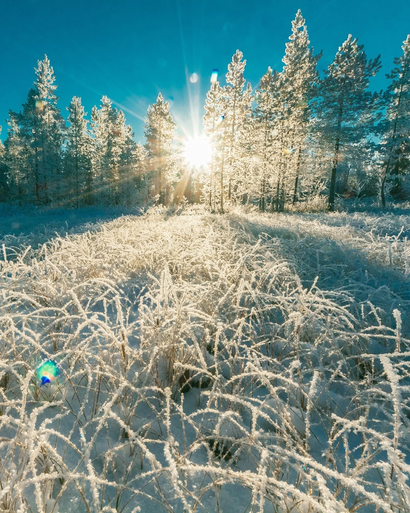 Happy solstice ☀ Merry christmas 🎄

As a northern inhabitant for most of my life, the sun has a strong feeling of sacred for me. Especially in winter. (though over here even the summers are cold). Sun becomes the life saver. Because it is so rare, w