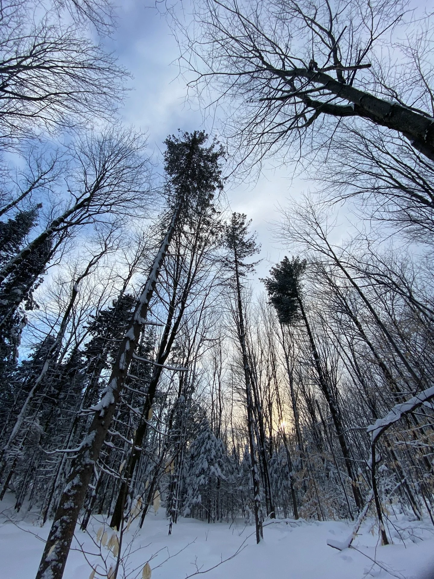 &laquo;&nbsp; Whatever undesirable or annoying event occurs in our life, if we have well and truly recognized our need of truth, we will be able to deal with it. But if I am not sustained by a need for what is Real, I might never be able to.&nbsp;&ra