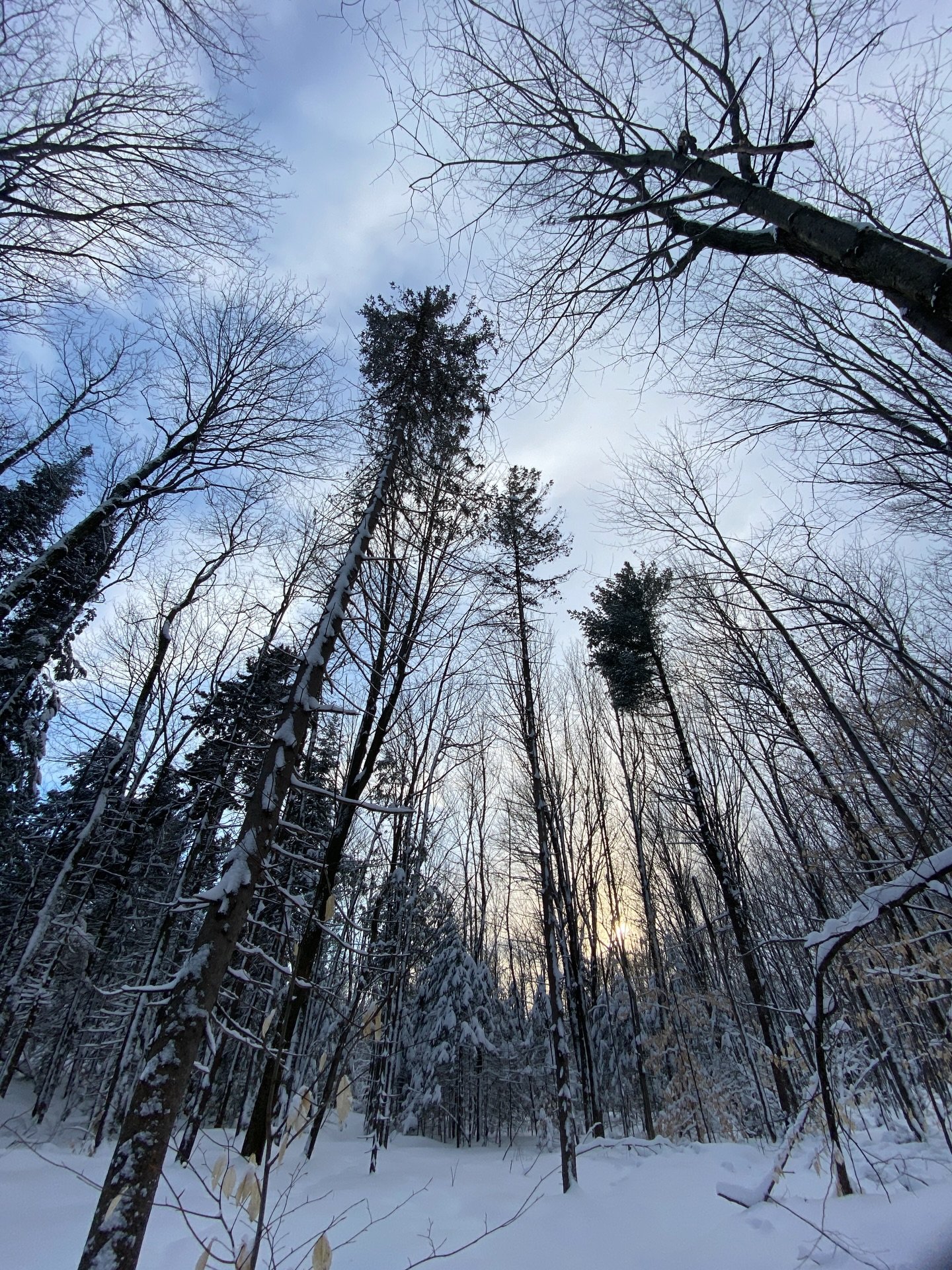 &laquo;&nbsp; Whatever undesirable or annoying event occurs in our life, if we have well and truly recognized our need of truth, we will be able to deal with it. But if I am not sustained by a need for what is Real, I might never be able to.&nbsp;&ra