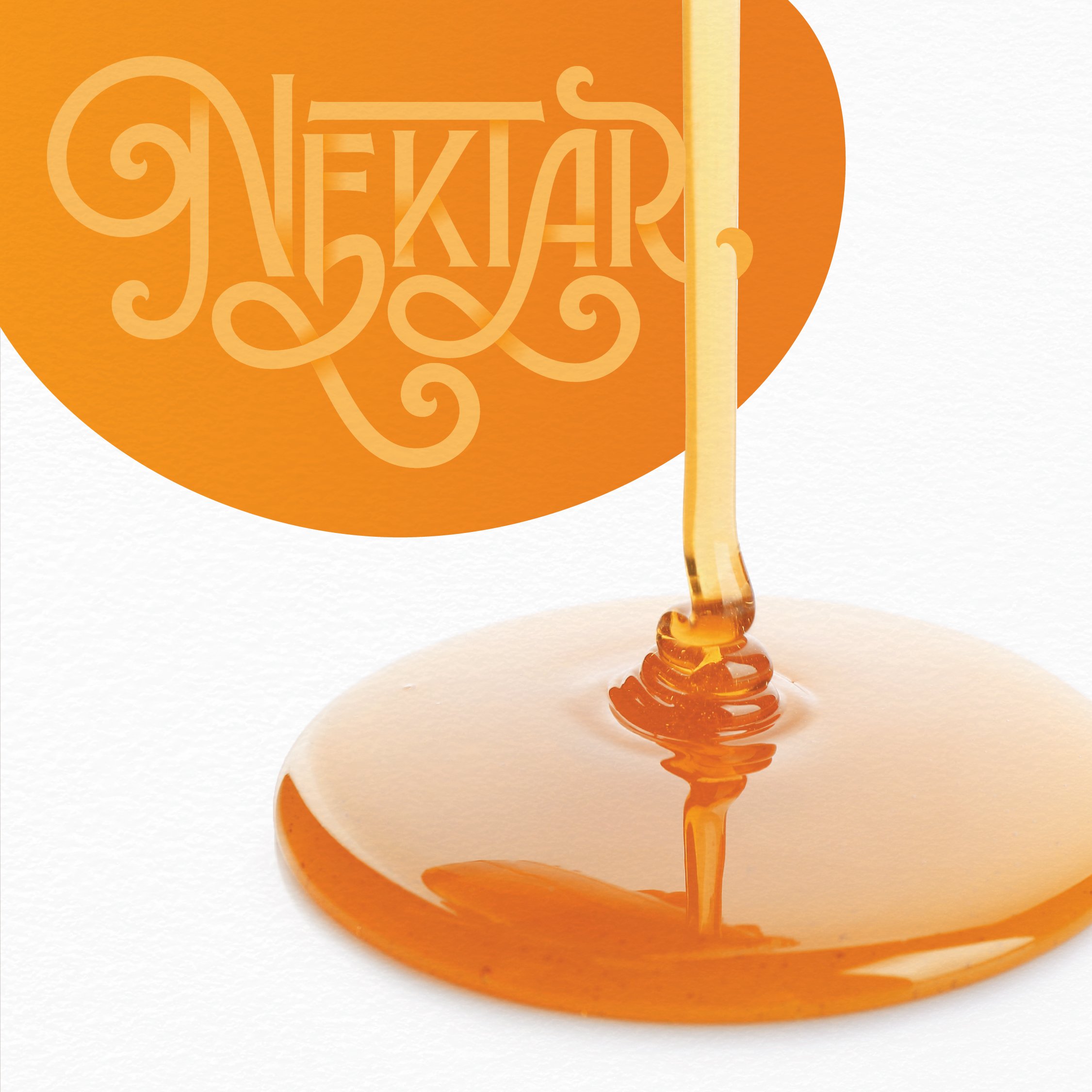 Nektar-04.jpg