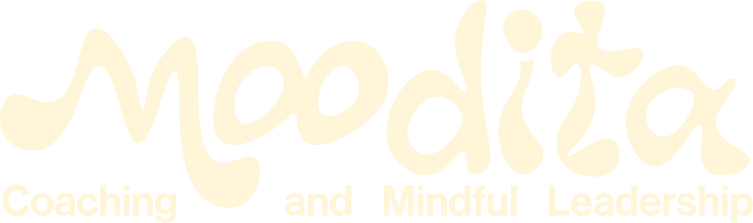 Moodita - Purpose and Career Coaching