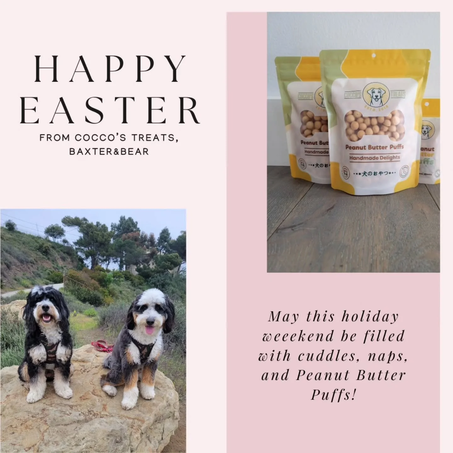 Wishing you all and your pups a calm, cozy Easter weekend&mdash;full of cuddles, naps, and a Peanut Butter Puff here and there :).
...here&rsquo;s to slow walks, shared snacks, and wagging tails all weekend long.🐰☕️🍫
*
*
*
*
*
*
*
*
*
#HappySunday 