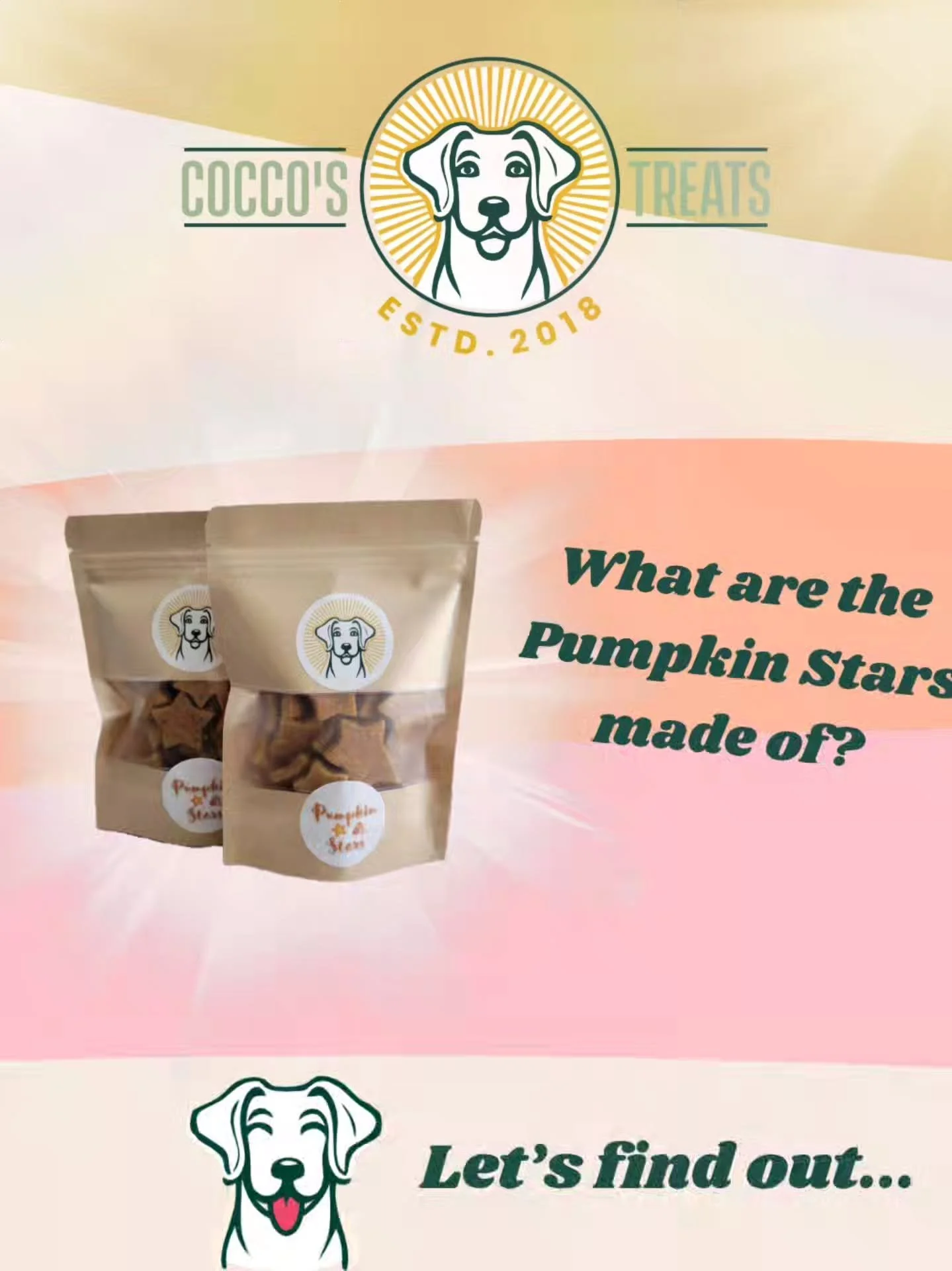 *Pumpkin Stars &ndash; tiny, crunchy bites of goodness!
Made with real pumpkin pur&eacute;e (hello, fiber and happy tummies!), oat flour, and a sprinkle of chia seeds for those Omega-3s your pup will love.

We added turmeric and cinnamon for a natura