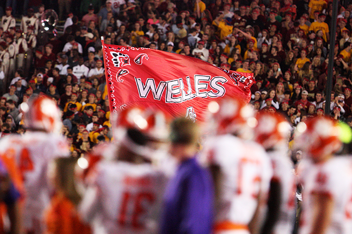 WELLES CROWTHER TRUST / DEVELOPMENT & STRATEGY