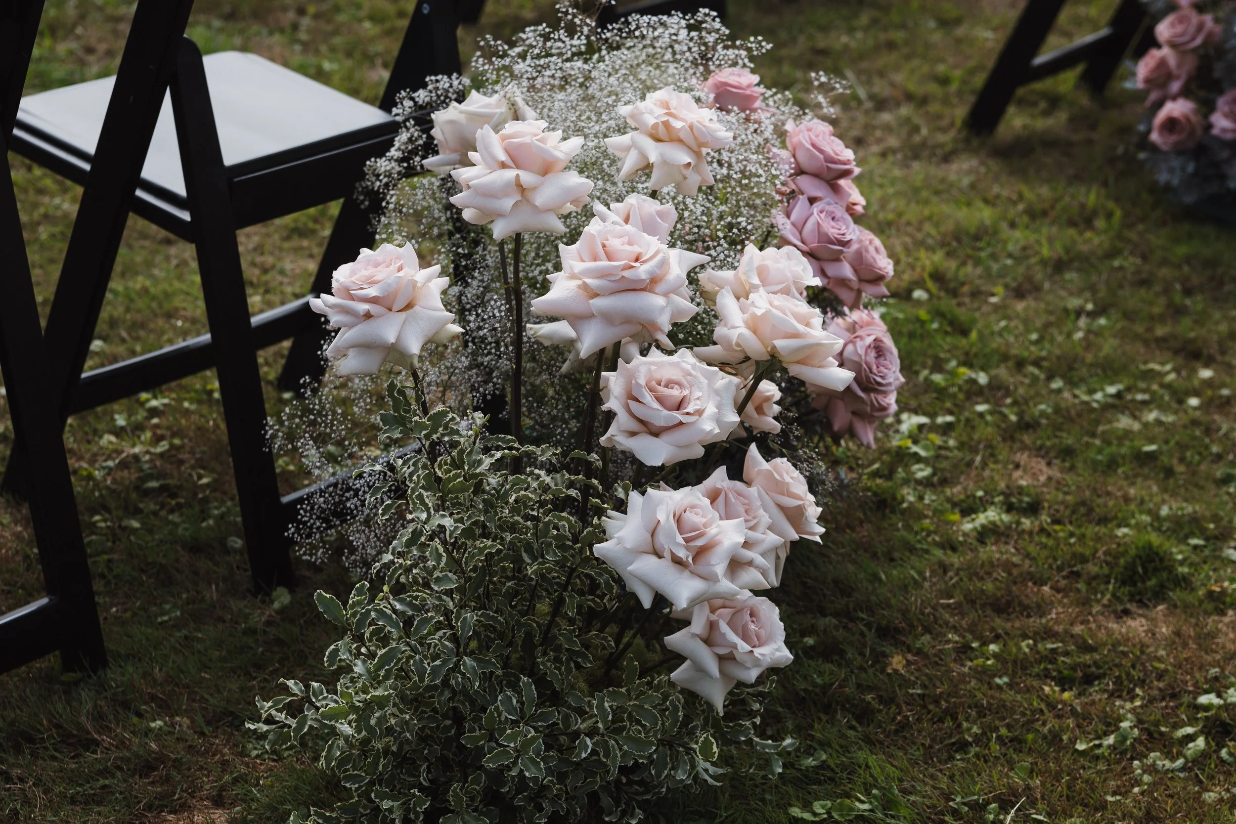 blush and mauve roses with baby's breath and textural greenery in a ground meadow.
