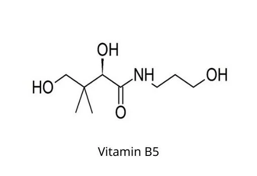 Vitamin-B5.jpeg
