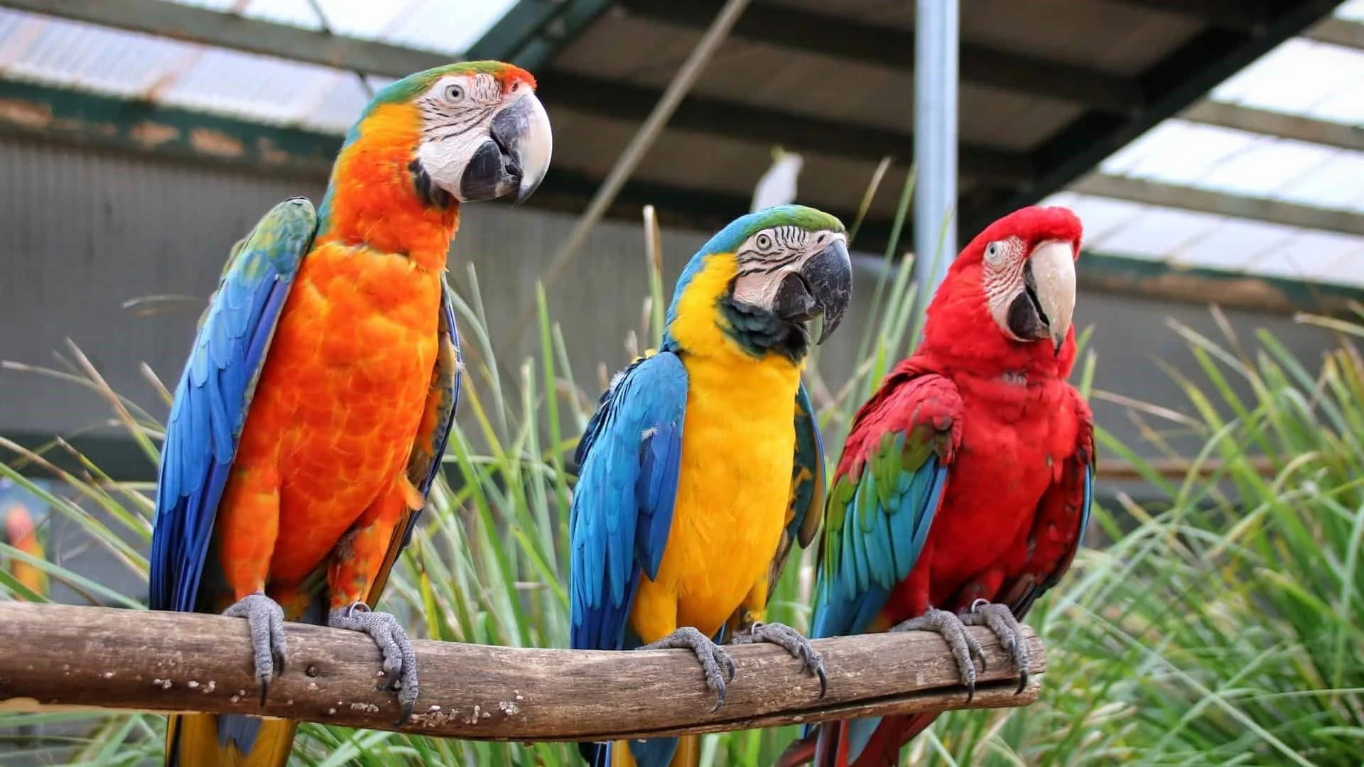 Places To Stay Sunshine Coast Hinterlands