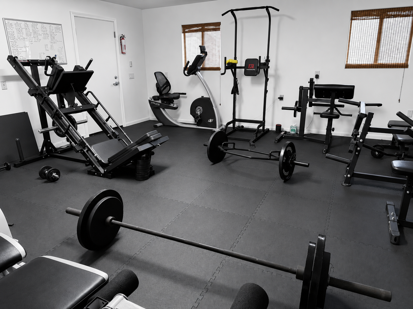 Gym Pic 2 with Less Contrast.png