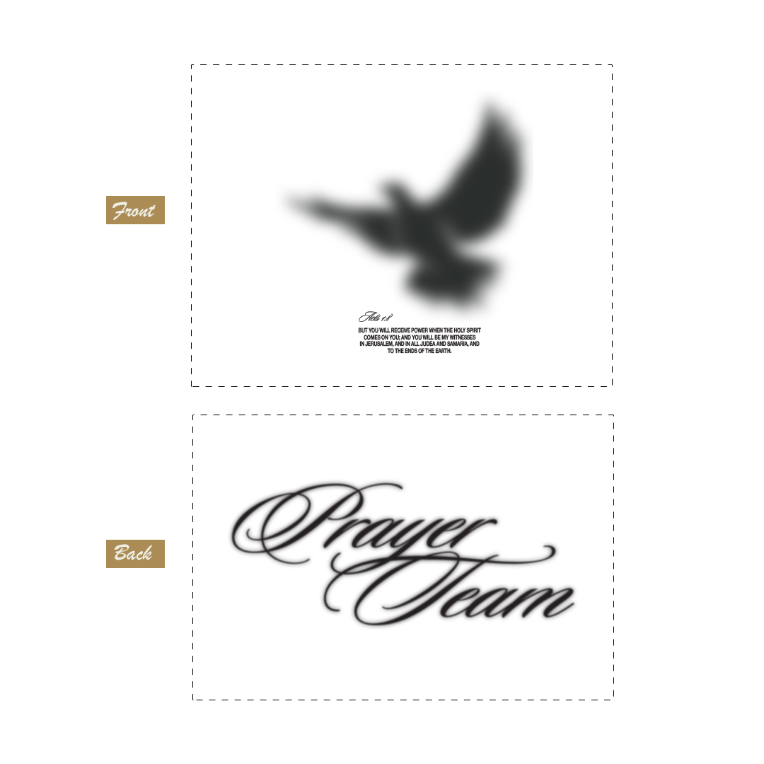 Website-Merch-Design-DisplayDove-2.png