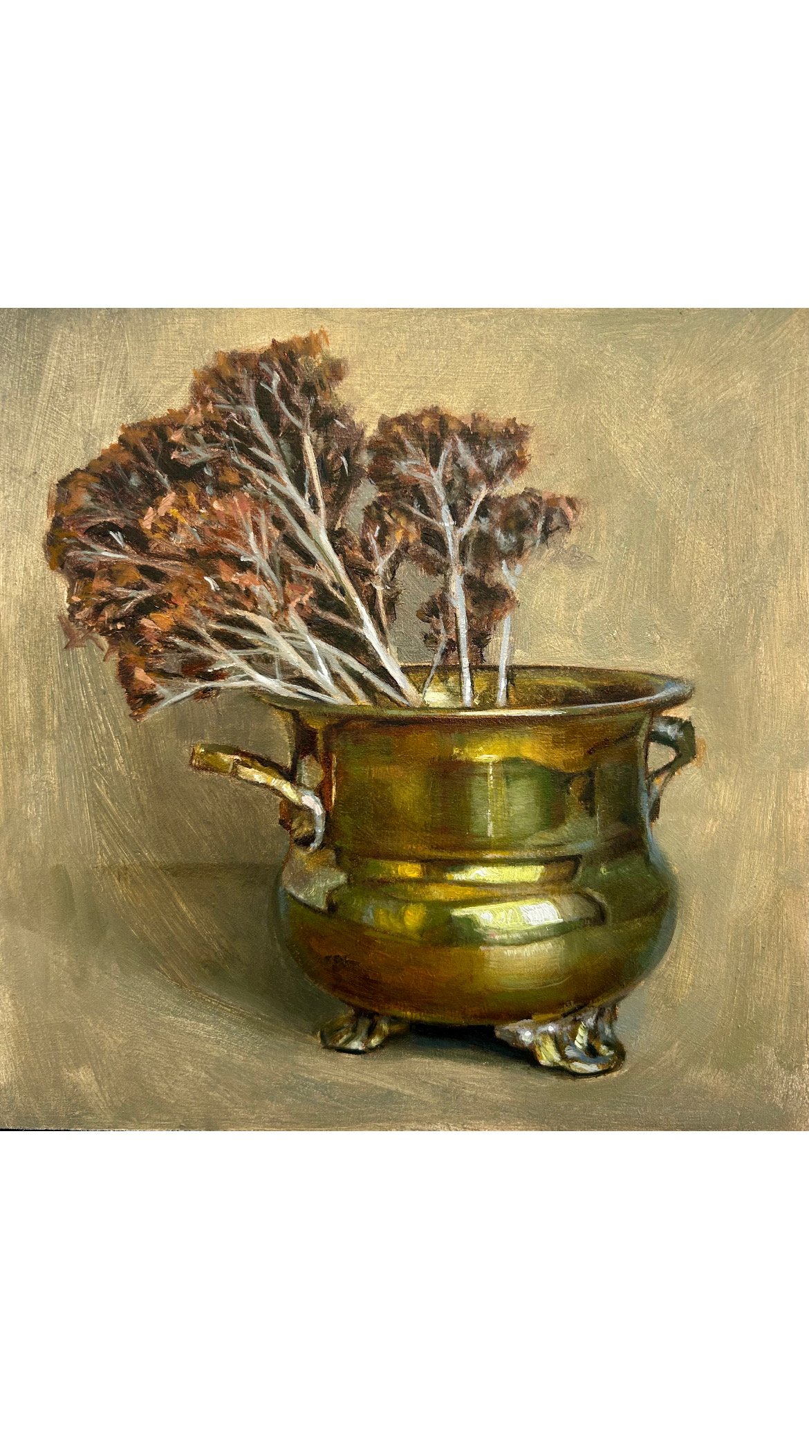 Stonecrop & Brass