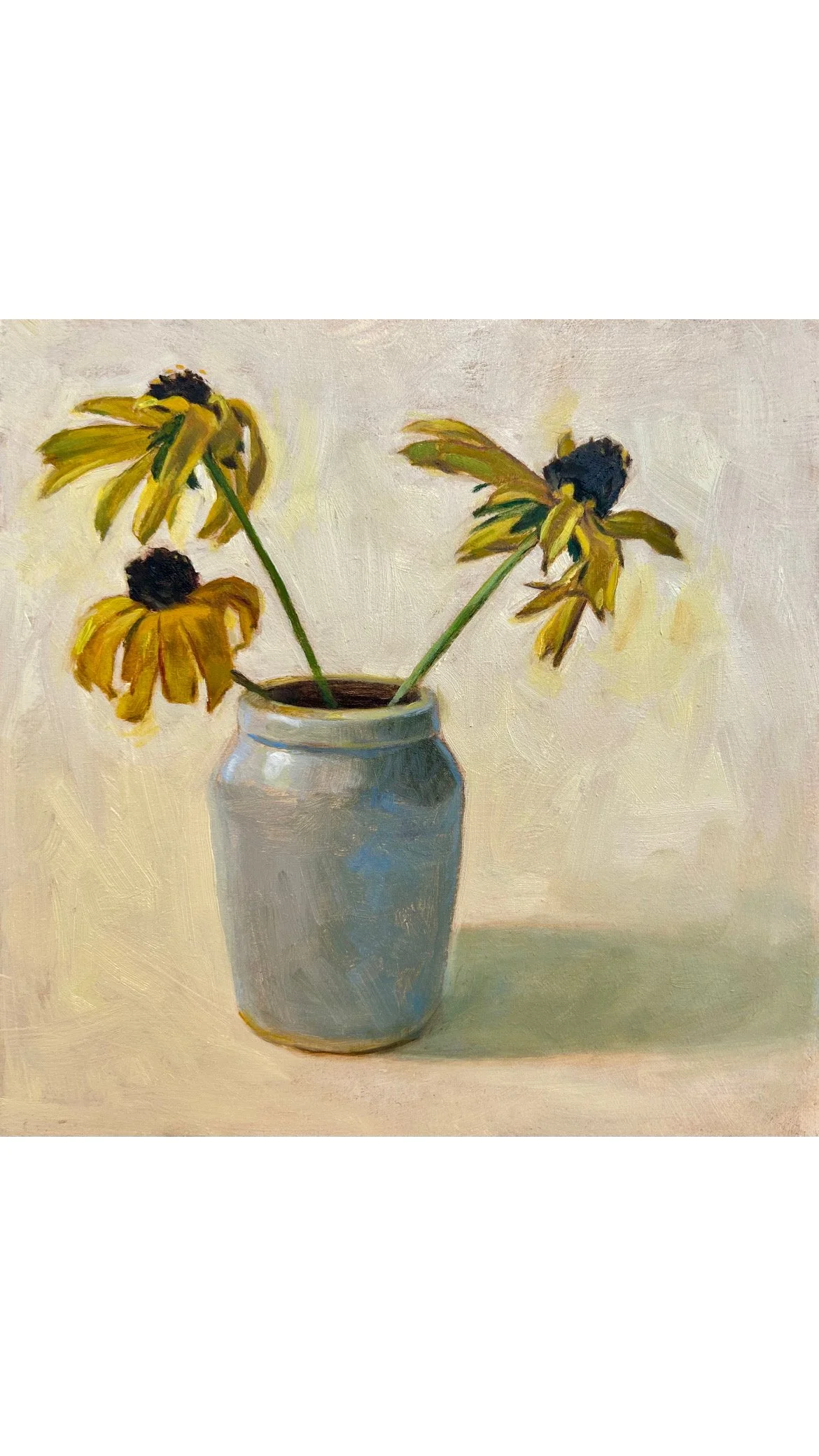 Rudbeckia