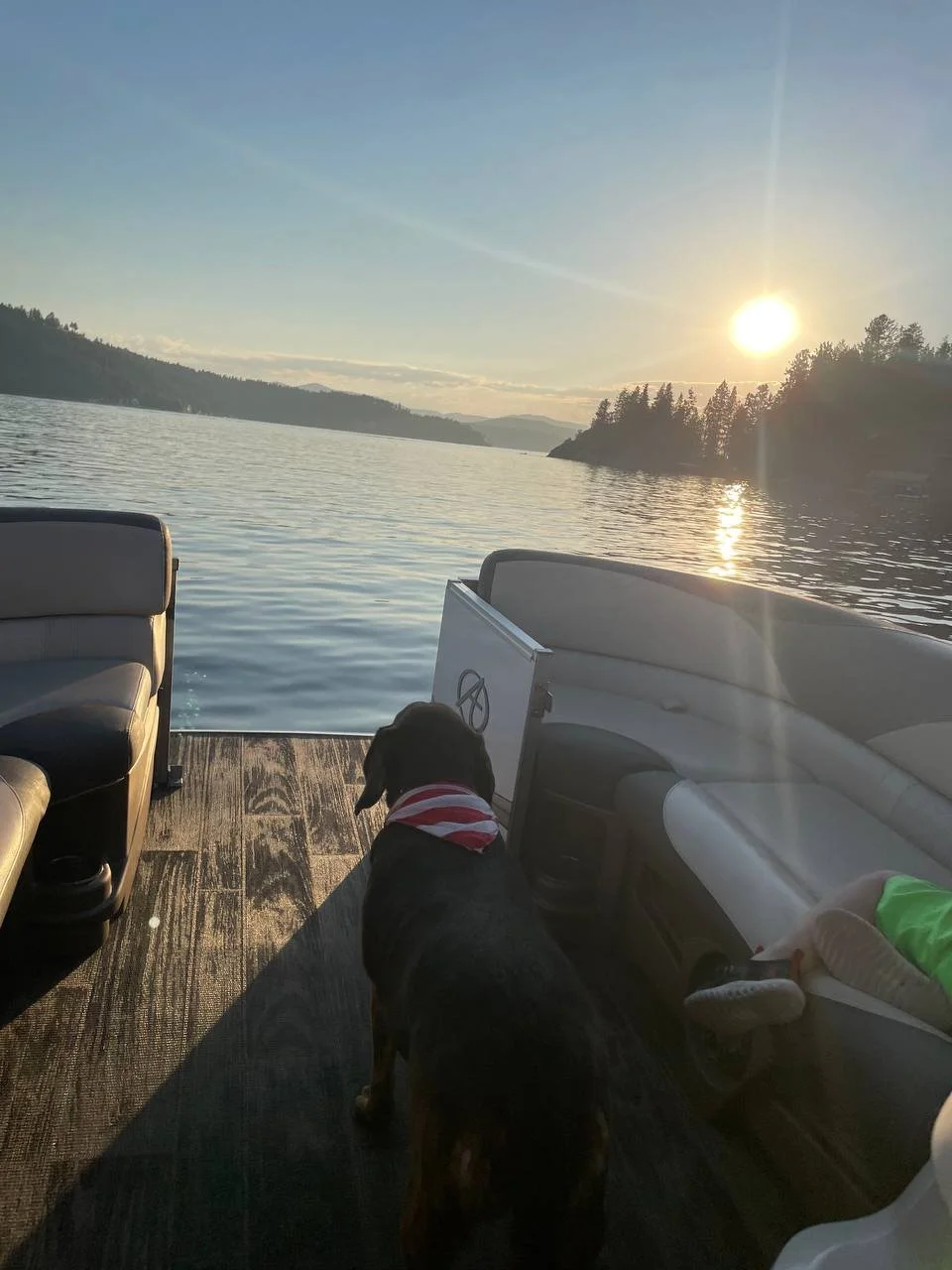A dog on a pontoon watching the sun go down.