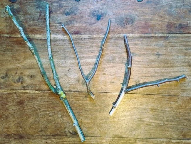 Drei trockene Baumzweige auf einem Holztisch.