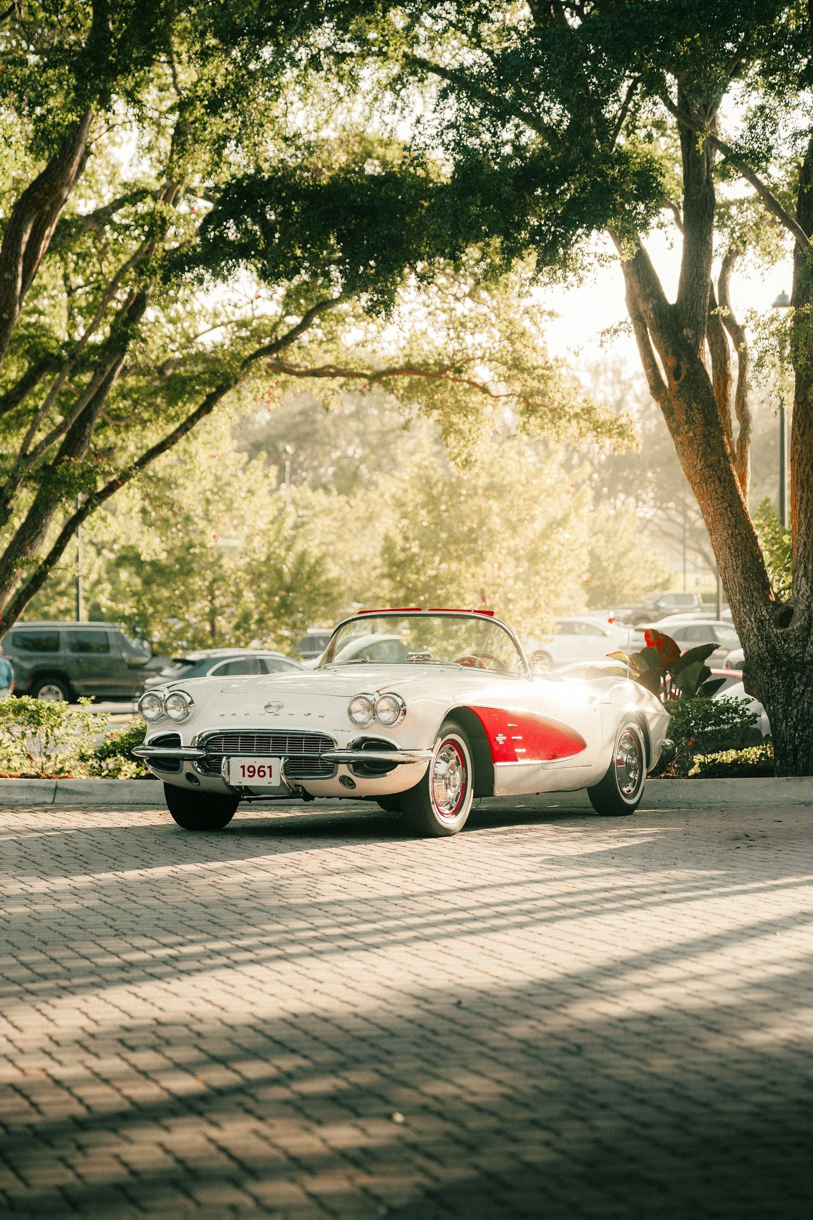 A vintage white and red 1961 Corvette parked under trees with sunlight shining through.