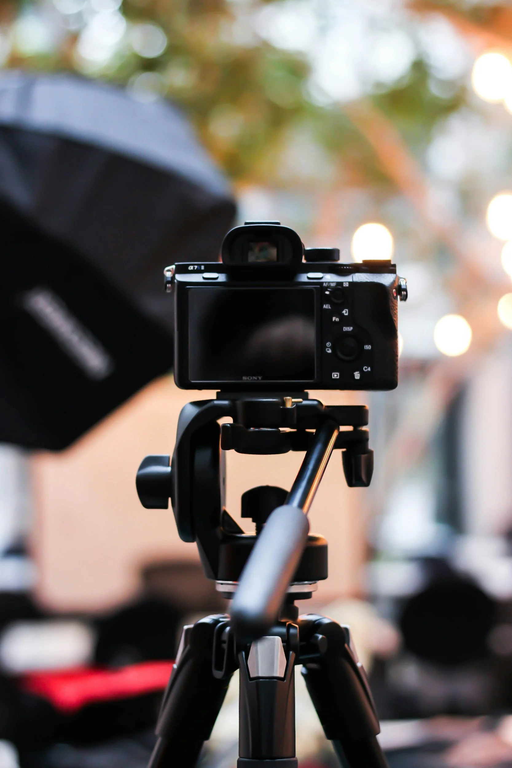 camera picture showing nterview umbrella