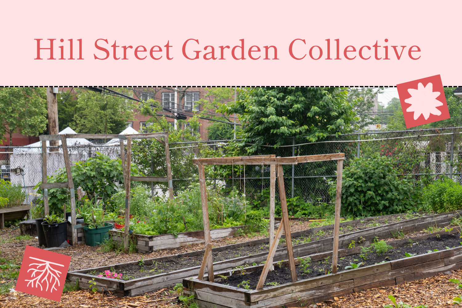 Hill Street Garden Collective Meeting