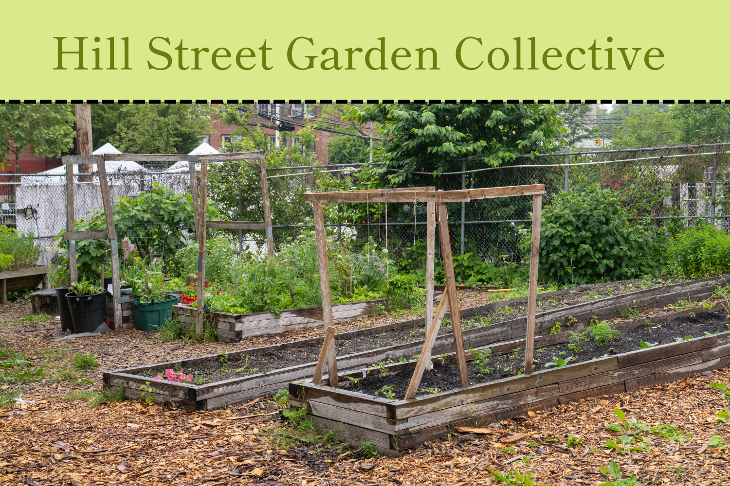 Hill Street Garden Collective