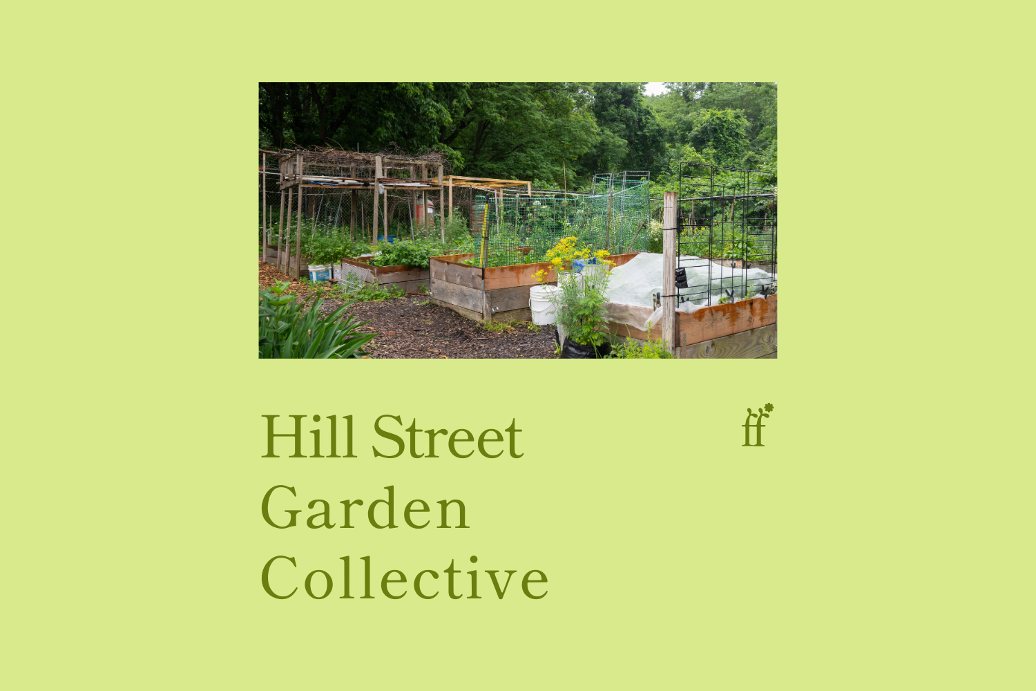 Hill Street Garden Collective