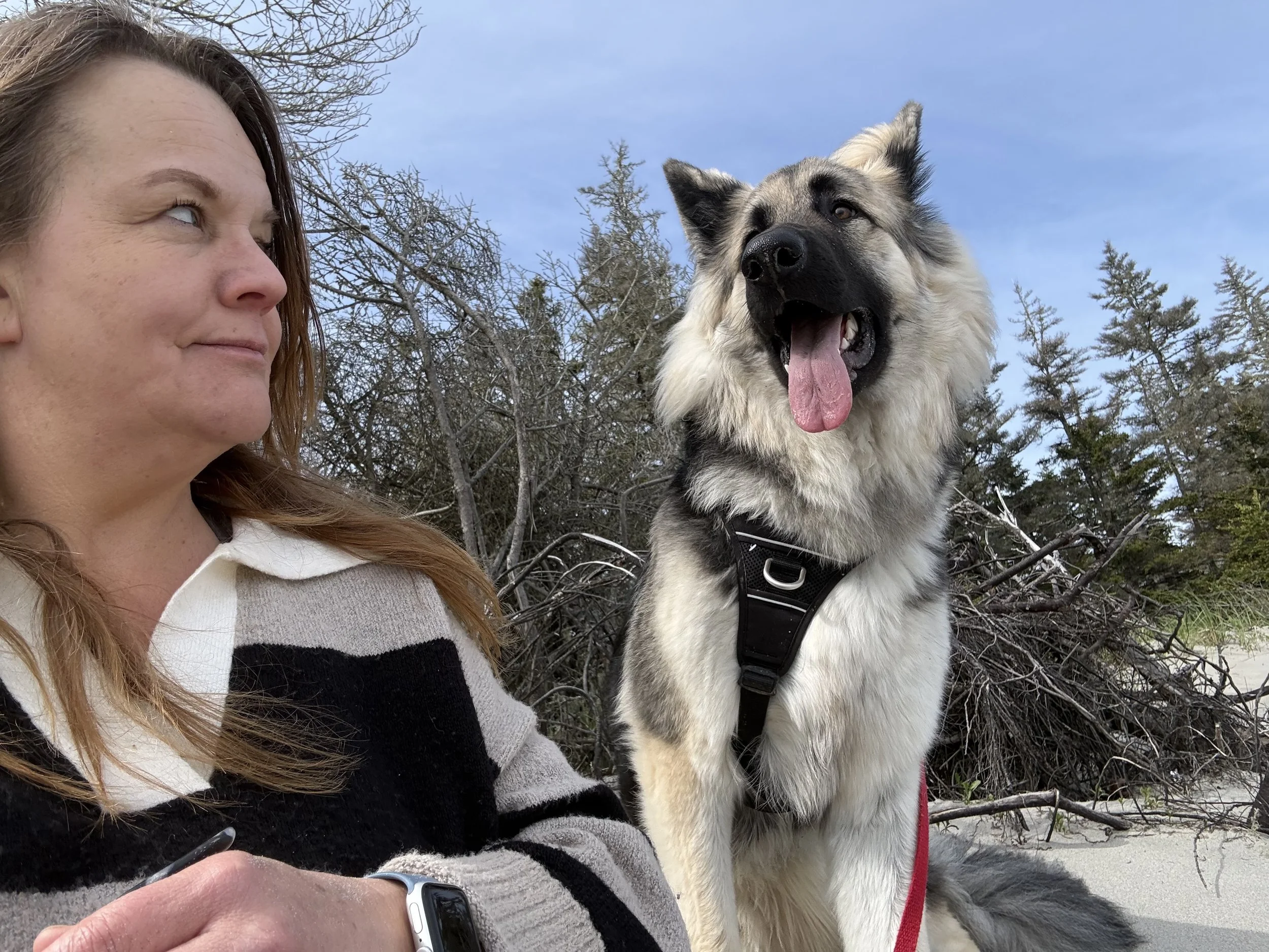What to Do When Your Reactive Dog Loses It (The Exit Strategy You Need)