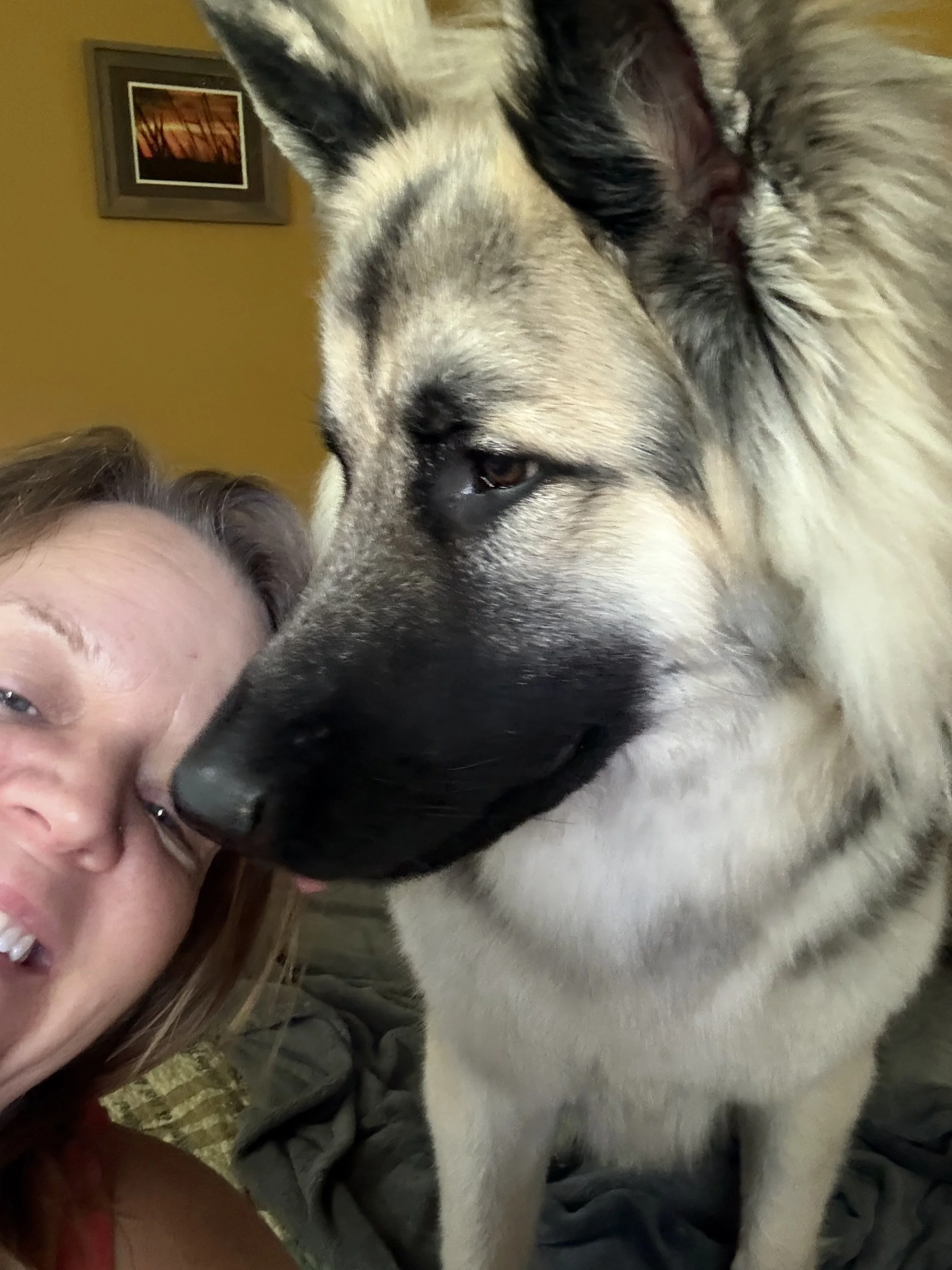 What Is Your Dog Learning About YOU? The Tiny Moments That Build (or Break) Trust
