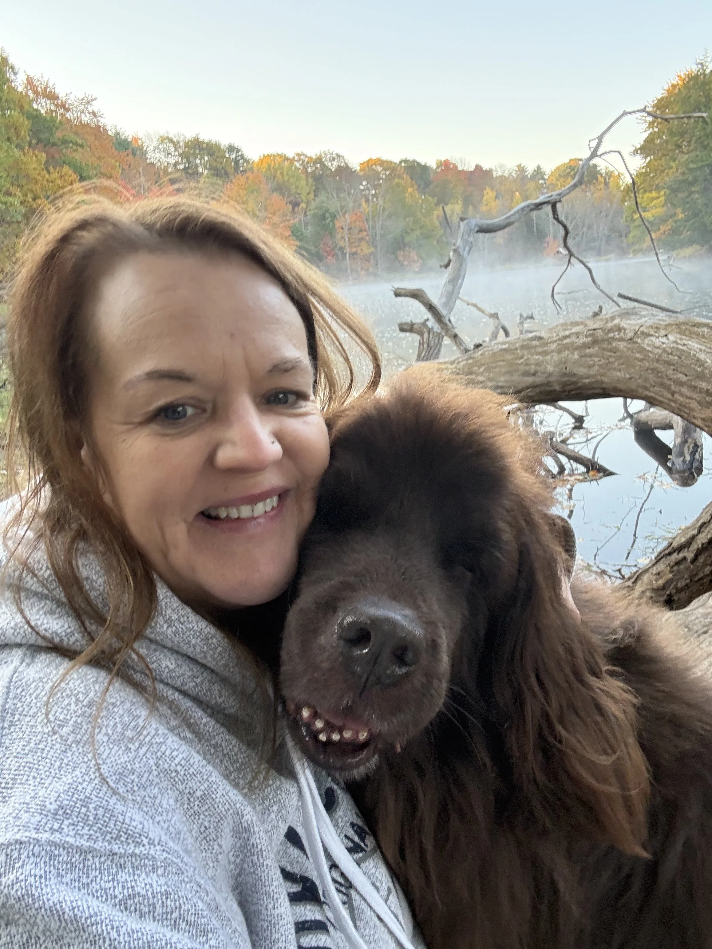 Why Should Your Dog Trust Your Decisions? What Leadership Actually Means