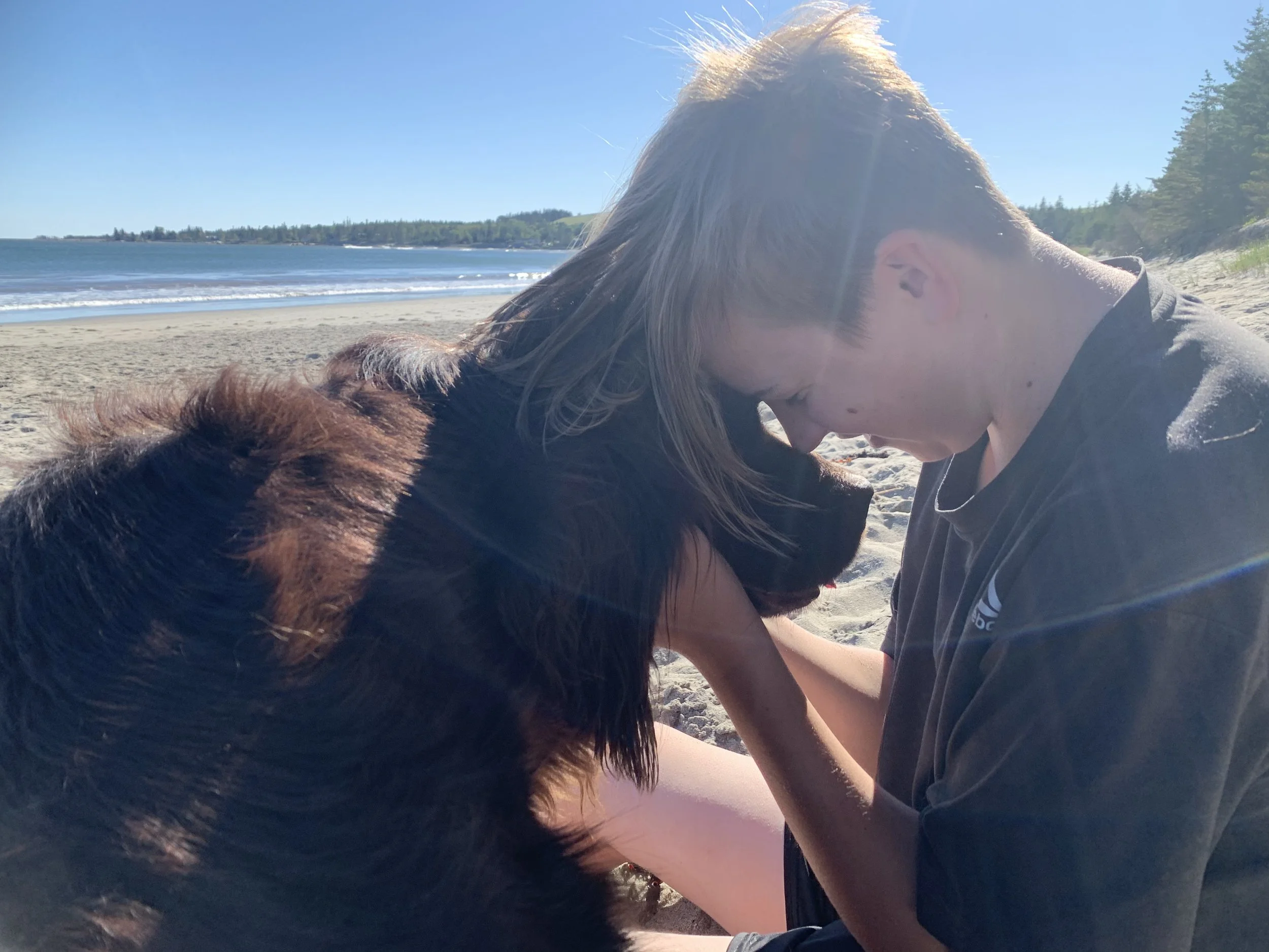Stop Telling Your Dog "No" Until You've Done This
