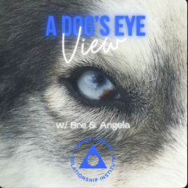 Screen Shot 2025-07-04 at 1.39.12 PM.png