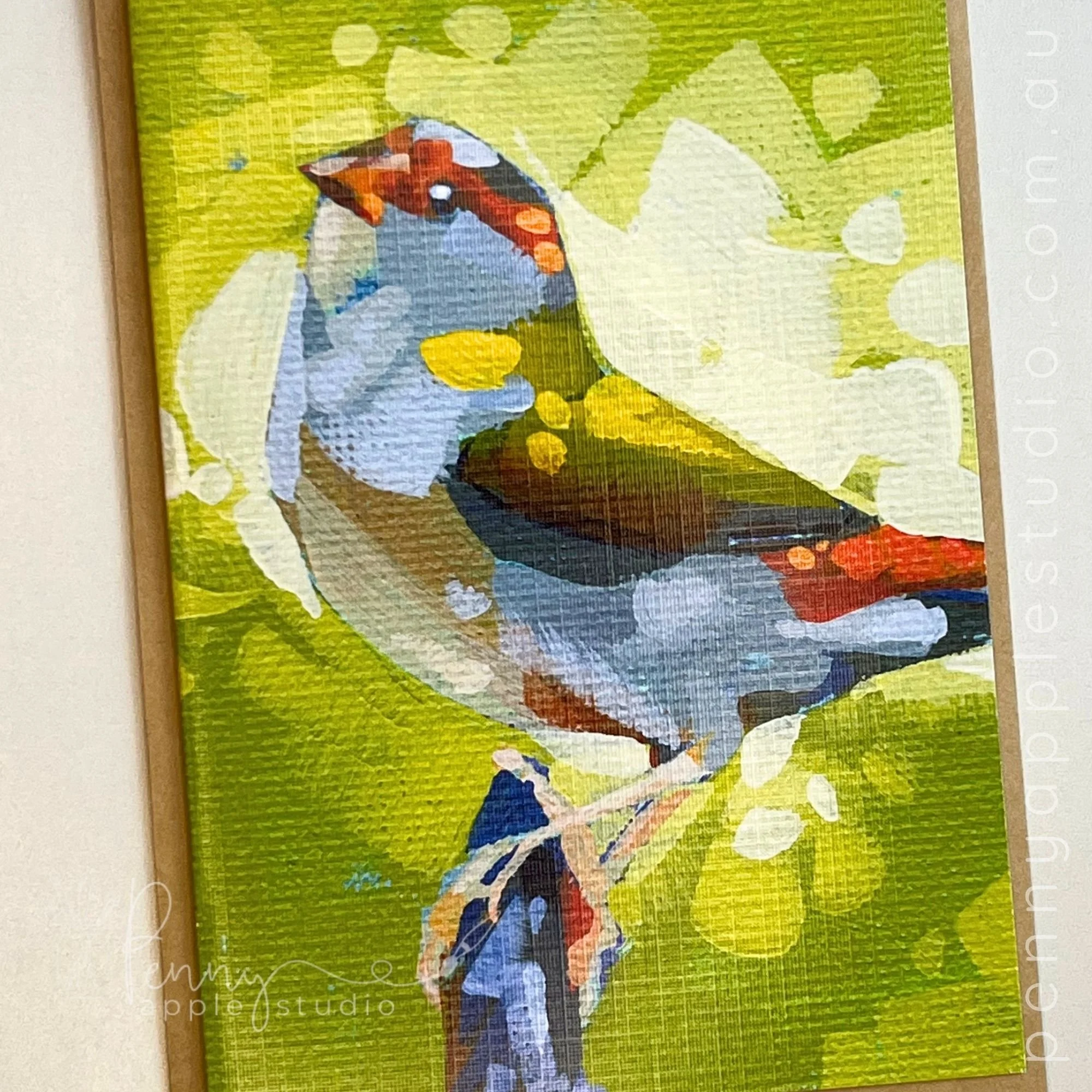 128 red browed finch.jpg