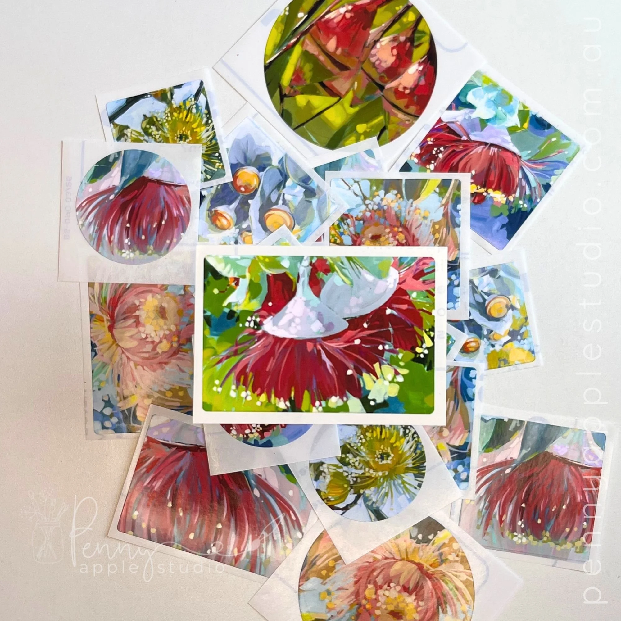 Australian Gumflowers – Art Sticker Pack (15) (3).jpg