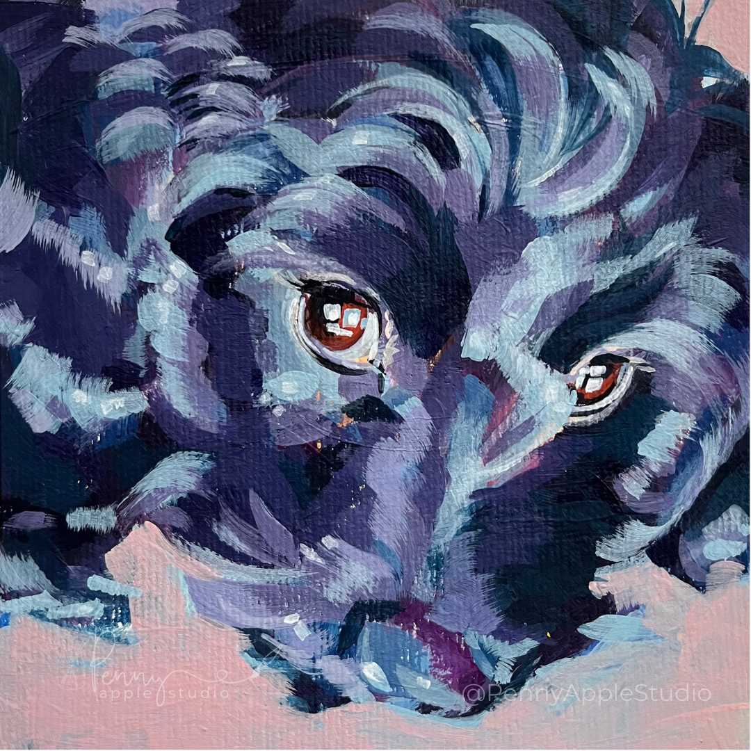 Missy.png