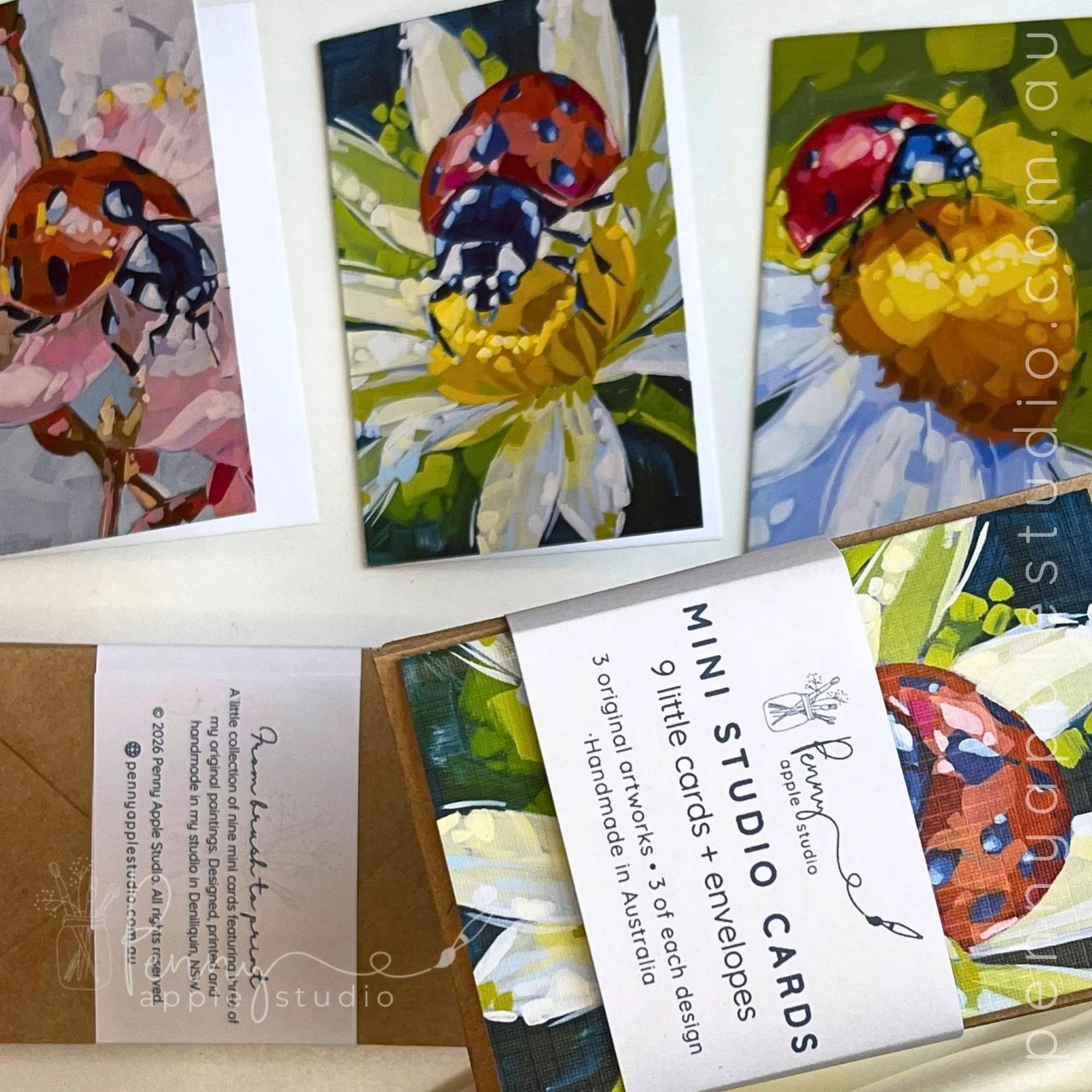 Little Bugs - Mini Studio Card Set (2).jpg