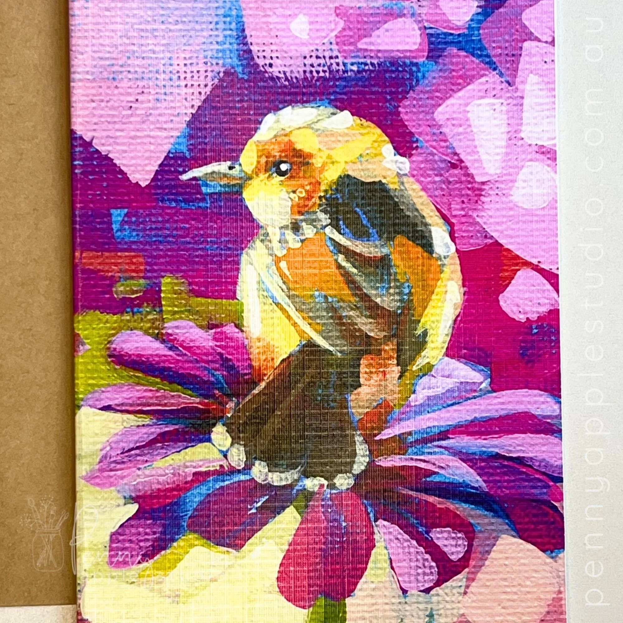 129 gh cisticola notecard.jpg