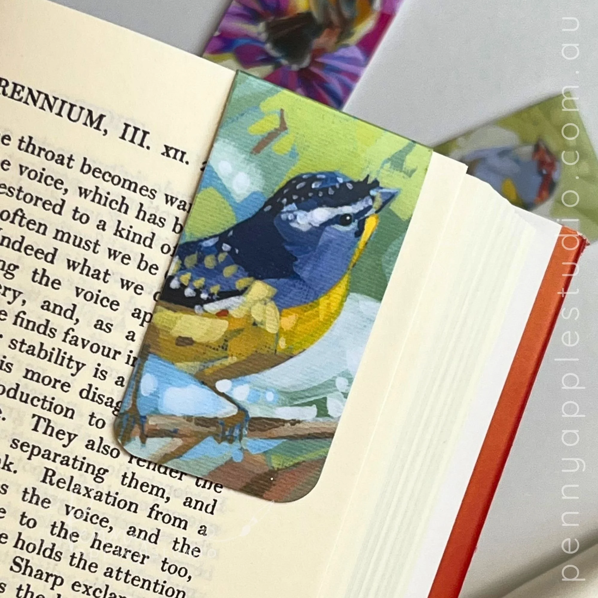 Little Locals Birds  – Magnetic Bookmarks (4).jpg