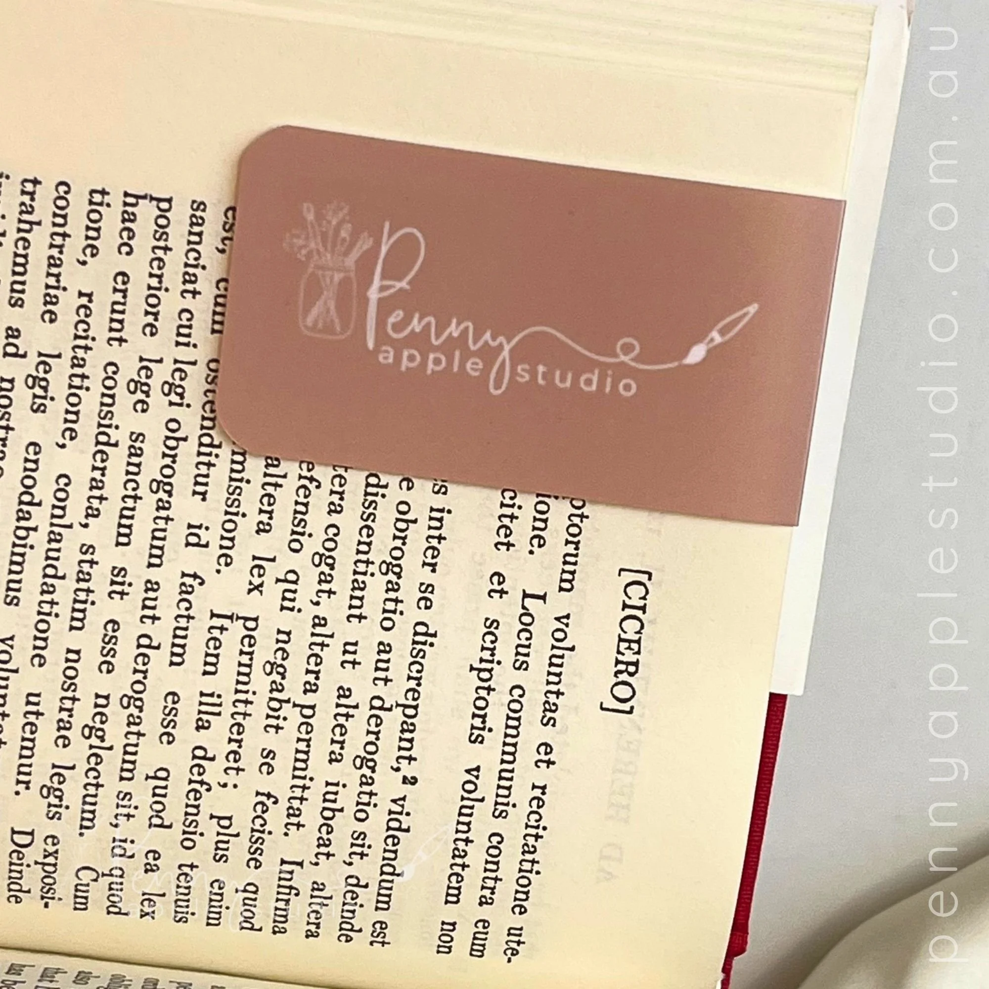 Magnetic Bookmarks Back.jpg