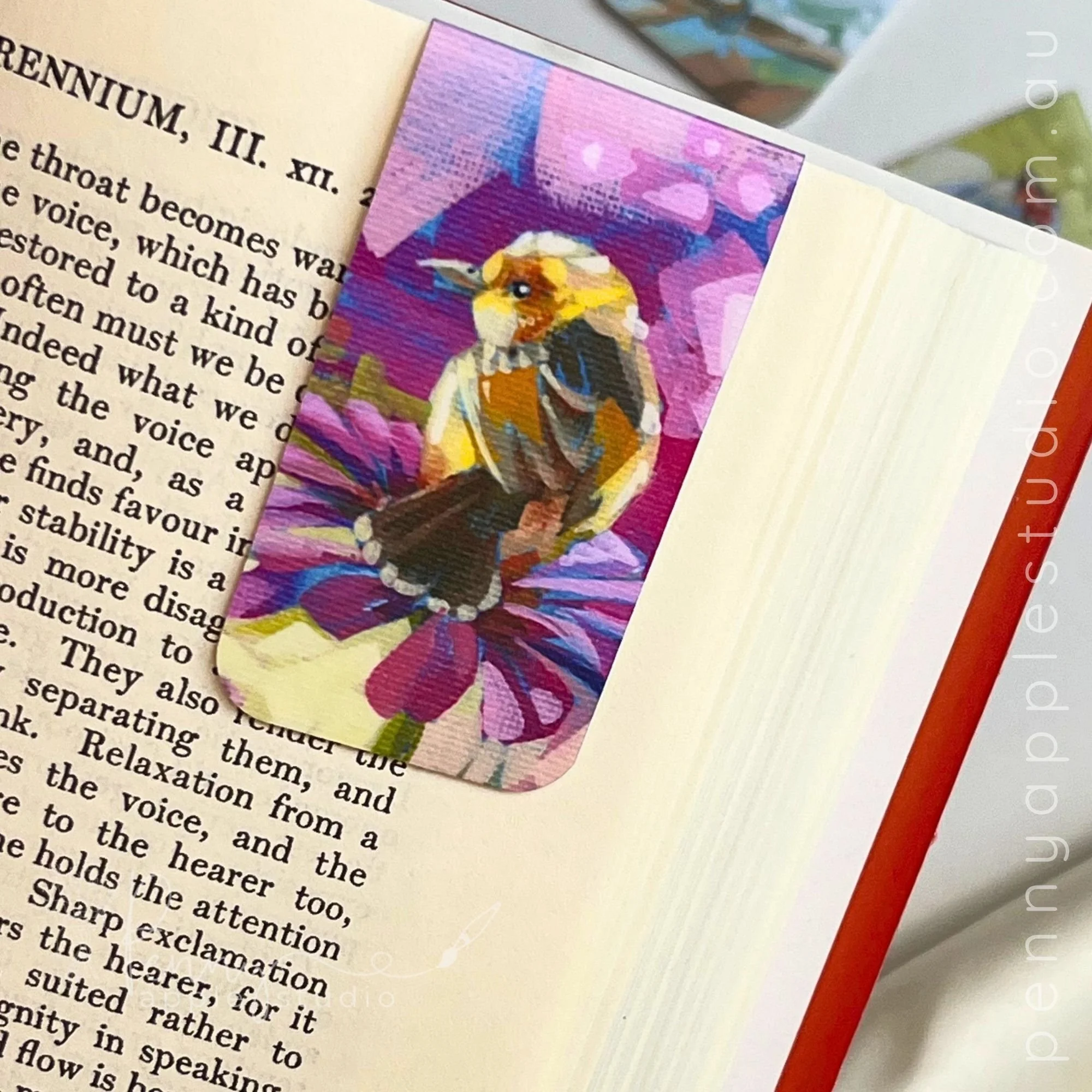 Little Locals Birds  – Magnetic Bookmarks (5).jpg