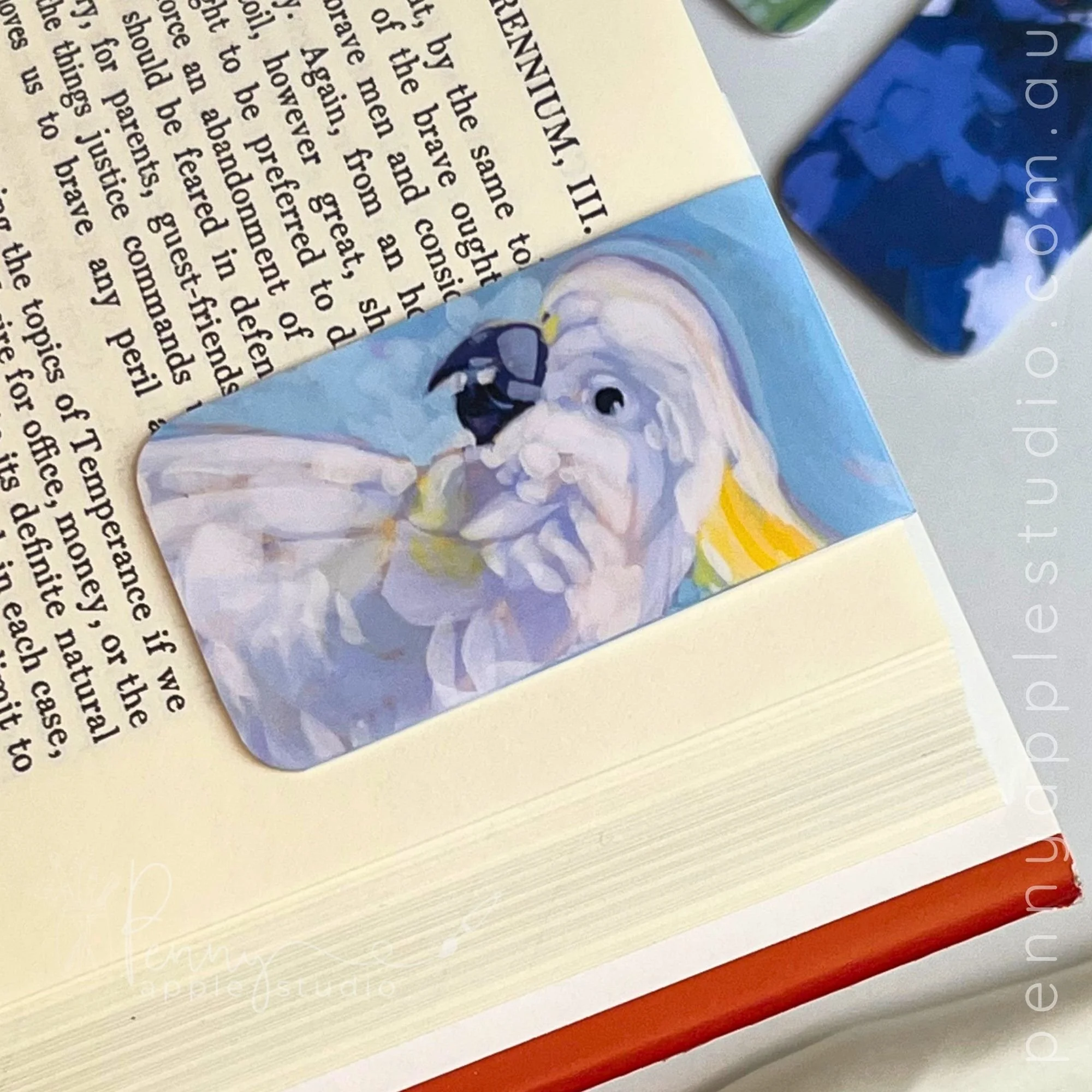 Birds of a Feather – Magnetic Bookmarks (3).jpg
