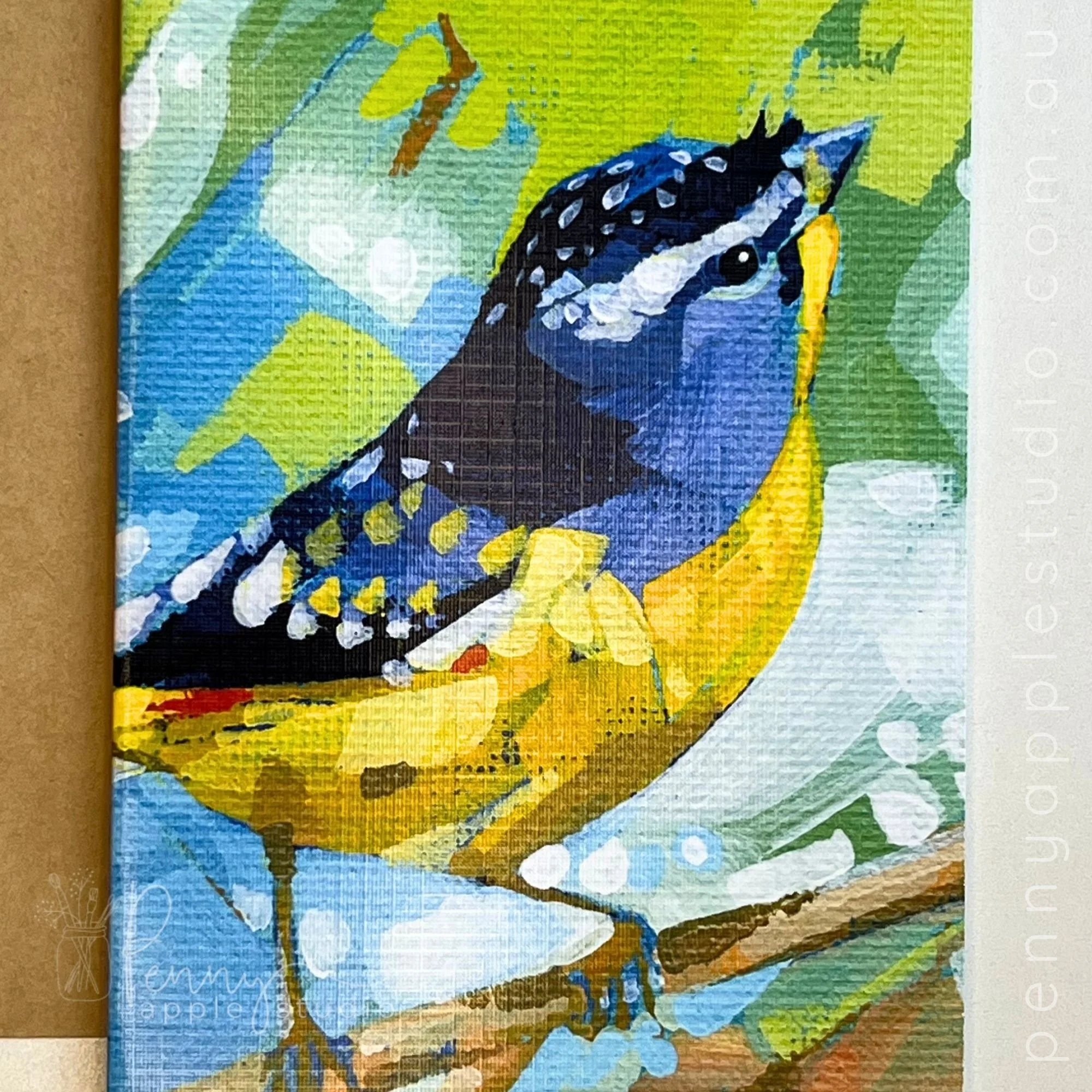 118 spotted pardalote.jpg