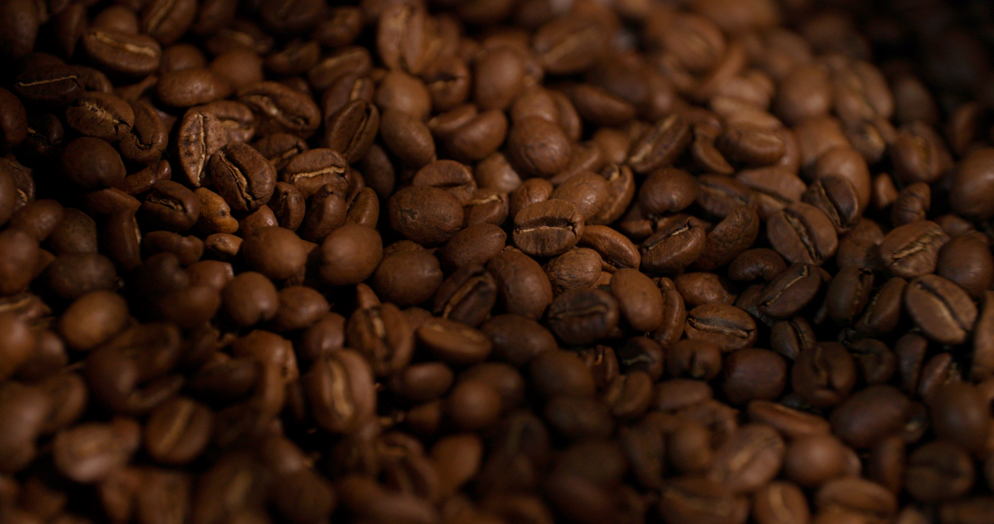 Still 2025-05-02 174531_4.8.1.png