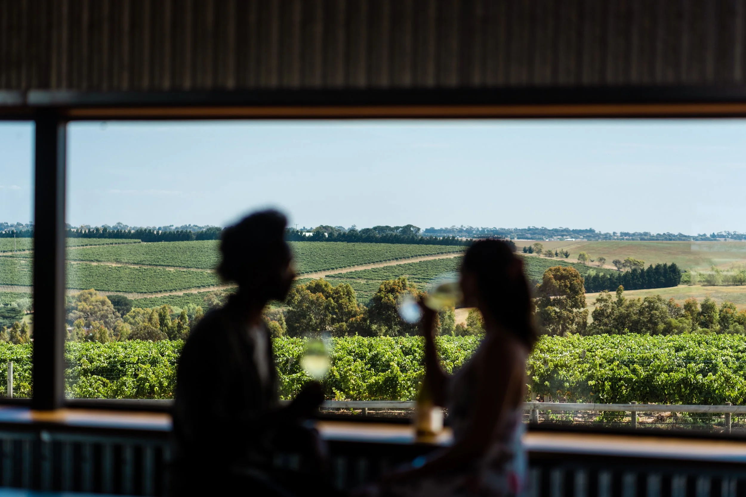 How Geelong Wine Built a Plan Its Members Could Get Behind