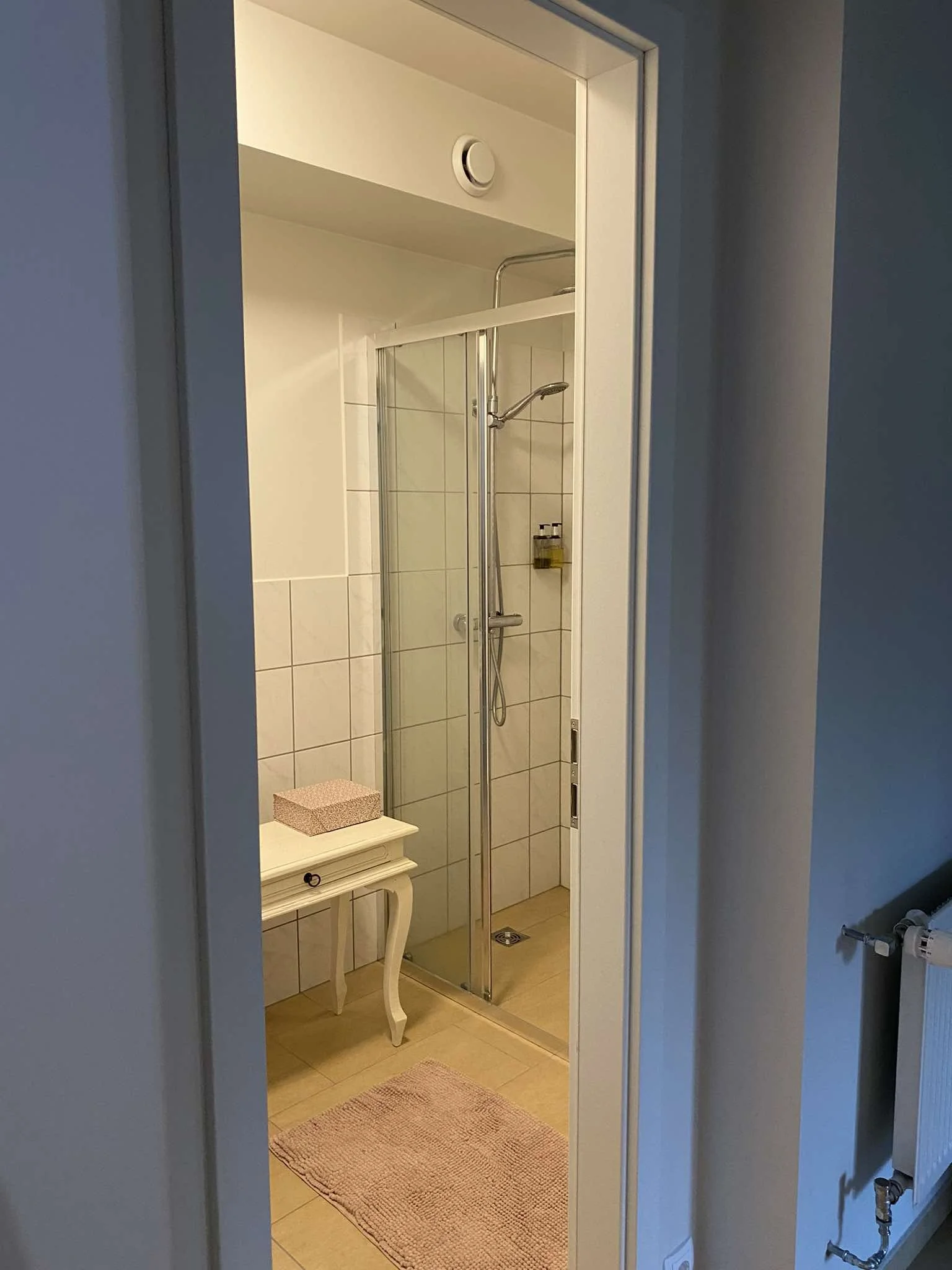 ráðhús íbúð 3 baðherbergi .jpg