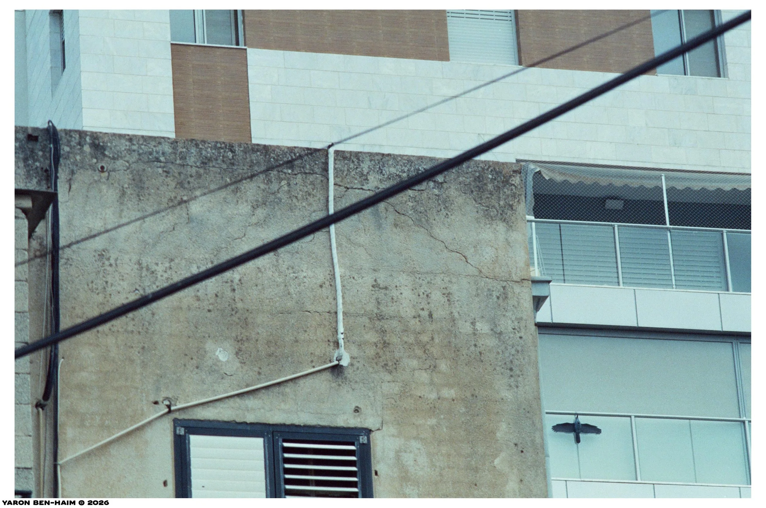 cinestill800t_r4_sep_oct_2026_n12_web.jpg