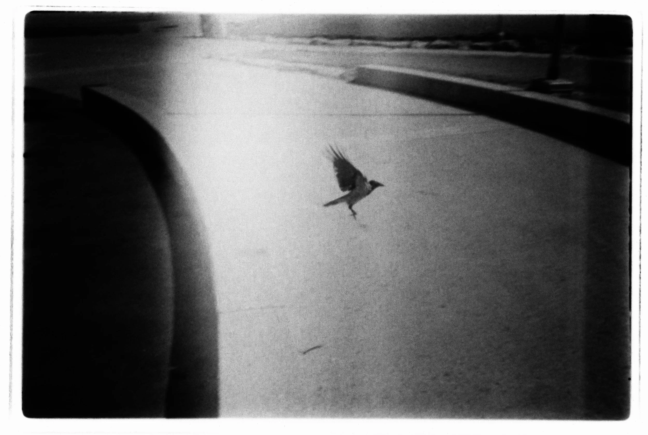 r41_2026_n11_web.jpg