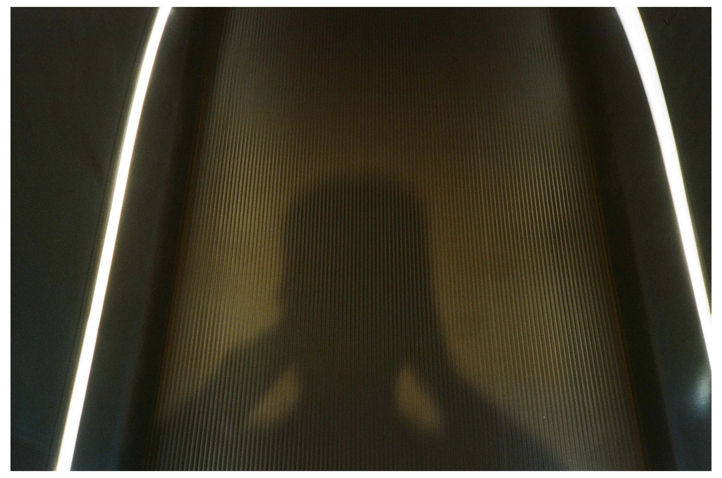 reel42_n1.jpg