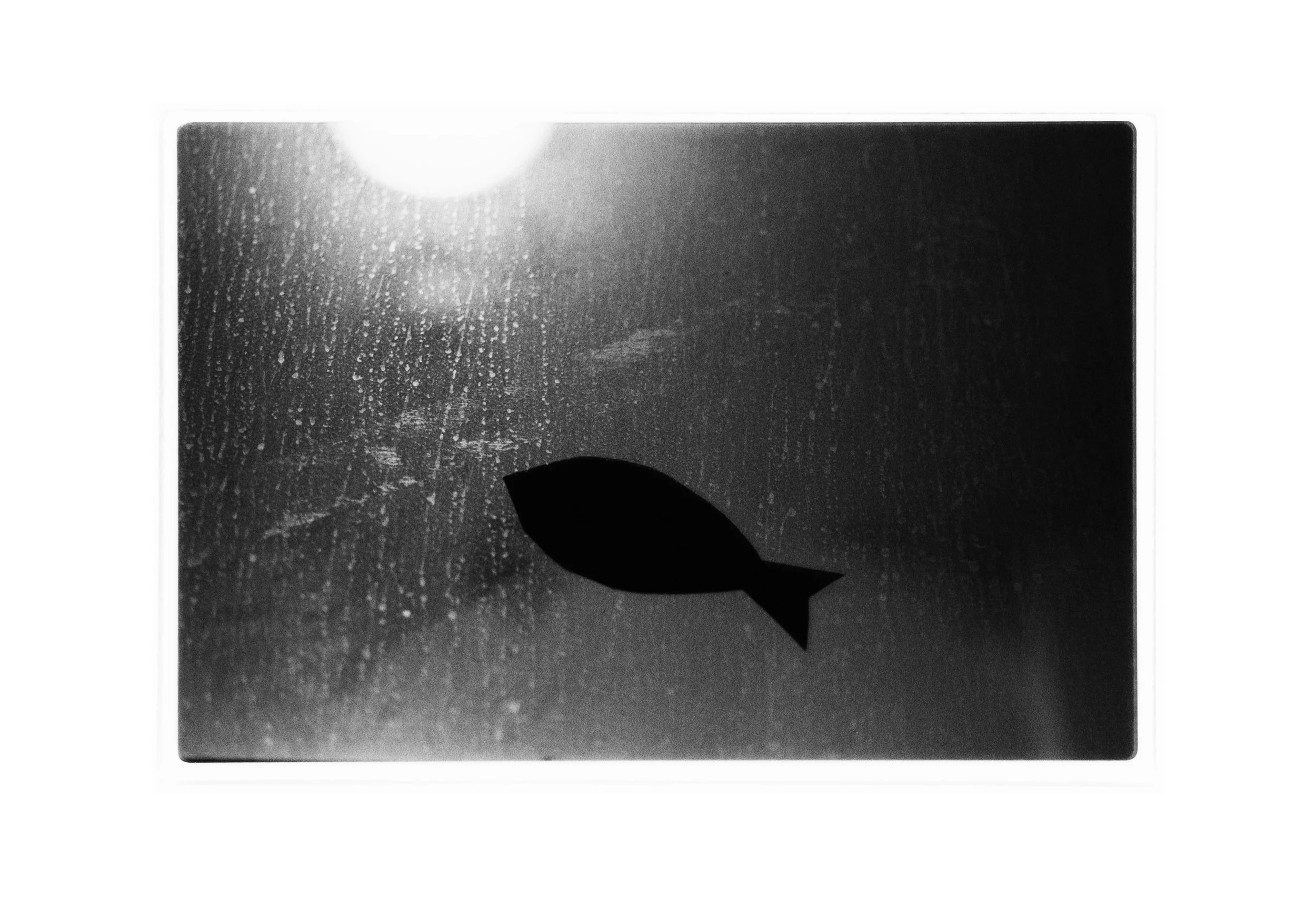 aug_5_2026_post_n6_insta.jpg