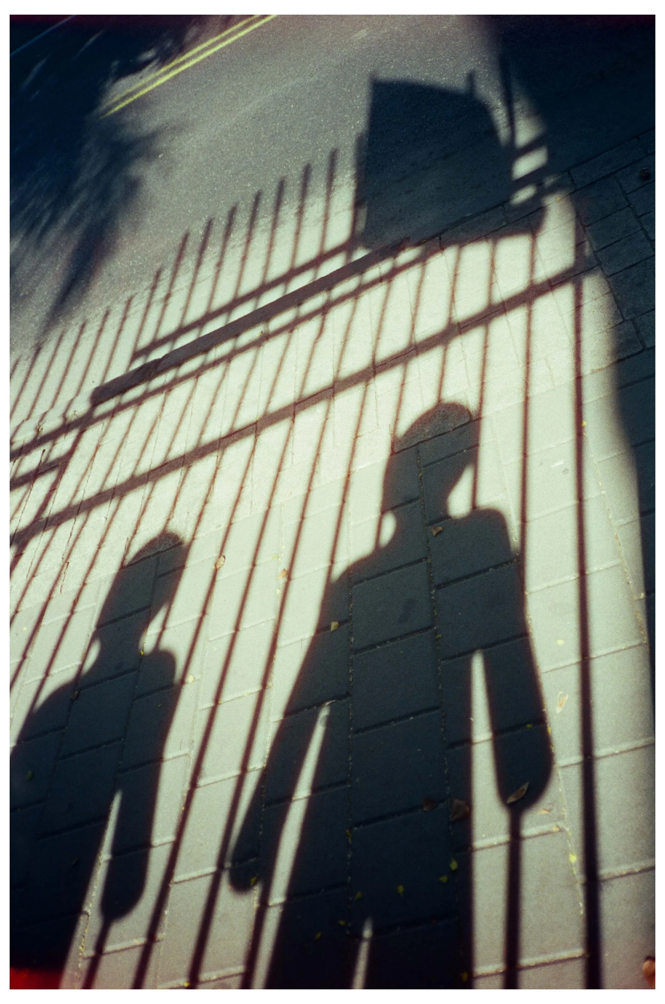 reel43_n9.jpg