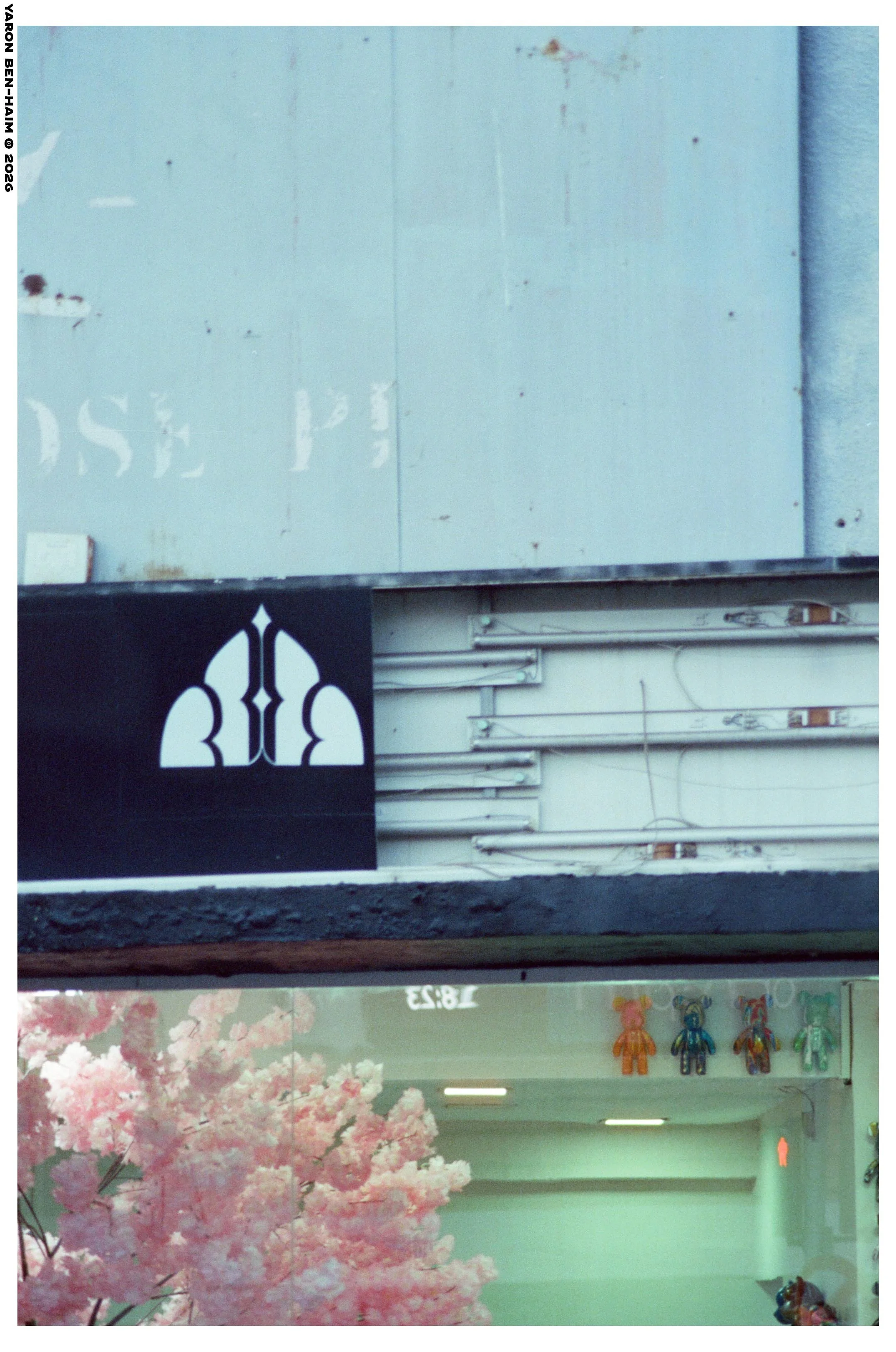 cinestill800t_r4_sep_oct_2026_n9_web.jpg