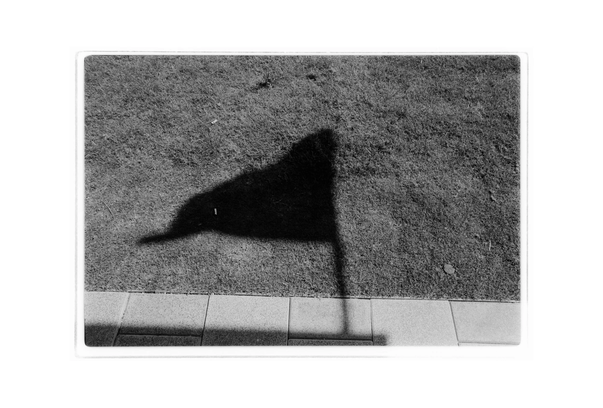 aug_5_2026_post_n9_insta.jpg