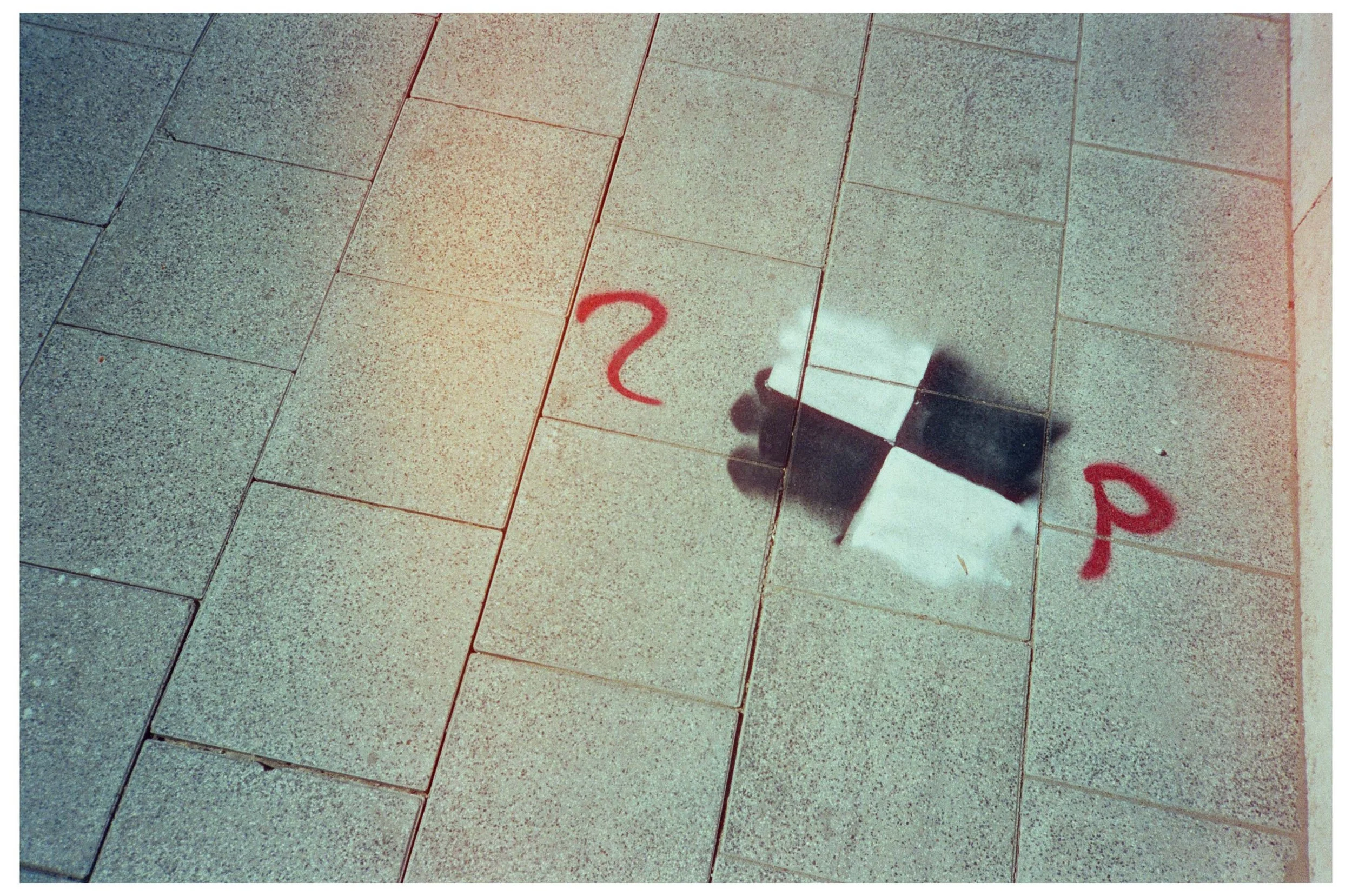 reel43_n6.jpg
