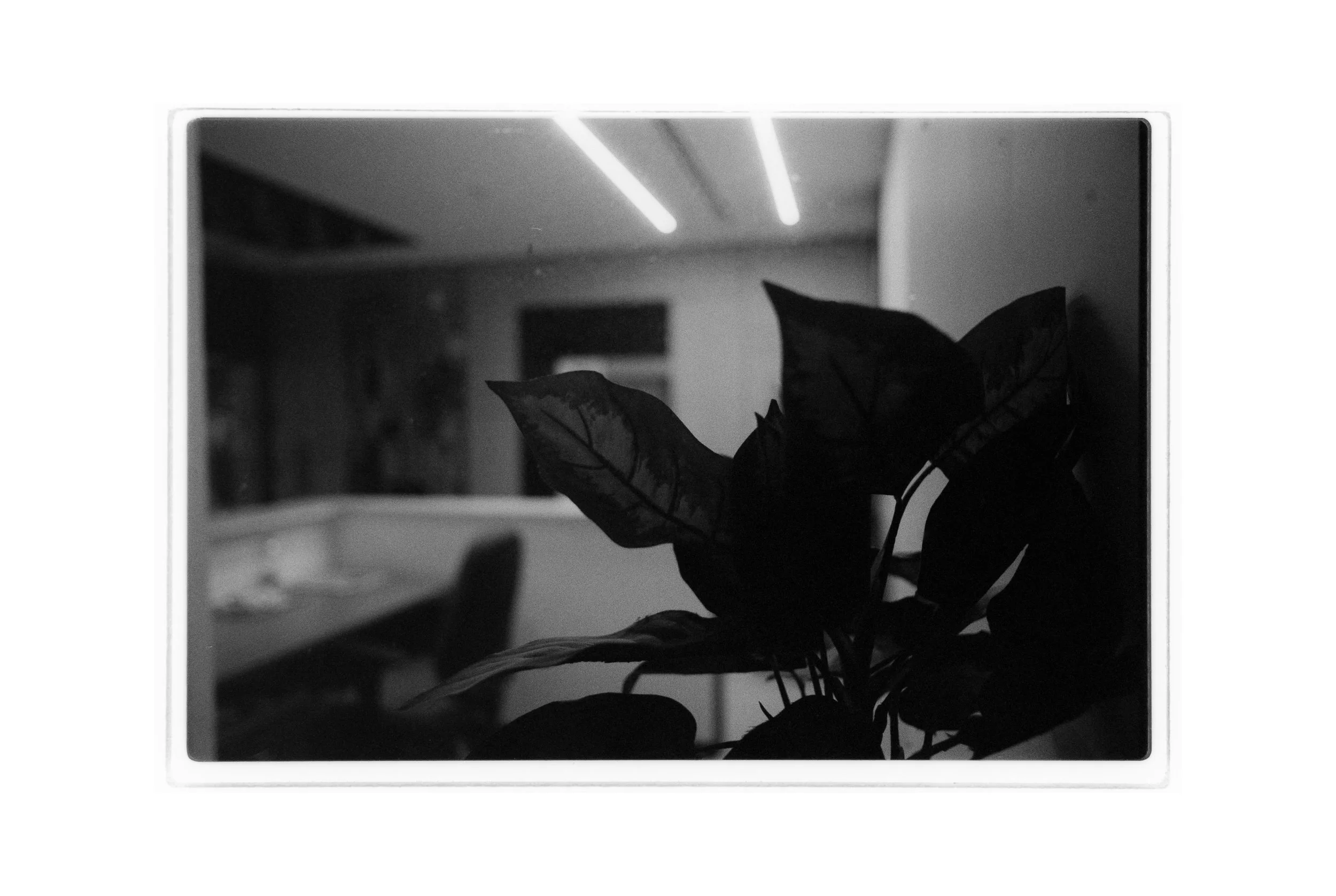 aug_5_2026_post_n8_insta.jpg